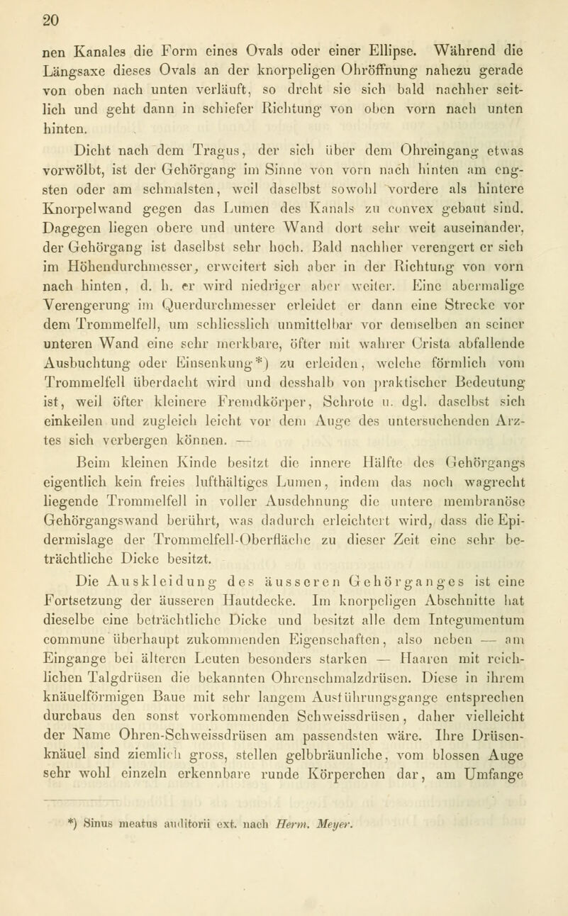 nen Kanales die Form eines Ovals oder einer Ellipse. Während die Längsaxe dieses Ovals an der knorpeligen Ohröffnung nahezu gerade von oben nach unten verläuft, so dreht sie sieh bald nachher seit- lich und geht dann in schiefer Richtung von oben vorn nach unten hinten. Dicht nach dem Tragus, der sich über dem Ohreingang etwas vorwölbt, ist der Gehörgang im Sinne von vorn nach hinten am eng- sten oder am schmälsten, weil daselbst sowohl vordere als hintere Knorpelwand gegen das Lumen des Kanals zu eunvex gebaut sind. Dagegen liegen obere und untere Wand dort sehr weit auseinander, der Gehörgang ist daselbst sehr hoch. Bald nachher verengert er sich im Höhendurchmesser, erweitert sich aber in der Richtung von vorn nach hinten, d. h. er wird niedriger aber weiter. Eine abermalige Verengerung im Querdurchmesser erleidet er dann eine Strecke vor dem Trommelfell, um schliesslich unmittelbar vor demselben an seiner unteren Wand eine sehr merkbare, öfter mit wahrer Orista abfallende Ausbuchtung oder Einsenkung*) zu erleiden, welche förmlich vom Trommelfell überdacht wird und desshalb von praktischer Bedeutung ist, weil öfter kleinere Fremdkörper, Schrote u. dgl. daselbst sich einkeilen und zugleich leicht vor dem Auge des untersuchenden Arz- tes sich verbergen können. — Beim kleinen Kinde besitzt die innere Hälfte des Gehörgangs eigentlich kein freies lufthaltiges Lumen, indem das noch wagrecht liegende Trommelfell in voller Ausdehnung die untere membranöse Gehörgangswand berührt, was dadurch erleichtert wird, dass die Epi- dermislage der Trommelfell-Oberfläche zu dieser Zeit eine sehr be- trächtliche Dicke besitzt. Die Auskleidung des äusseren Gehör ganges ist eine Fortsetzung der äusseren Hautdecke. Im knorpeligen Abschnitte hat dieselbe eine beträchtliche Dicke und besitzt alle dem Integumentum commune überhaupt zukommenden Eigenschaften, also neben — am Eingange bei älteren Leuten besonders starken — Haaren mit reich- lichen Talgdrüsen die bekannten Ohrenschmalzdrüsen. Diese in ihrem knäuelförmigen Baue mit sehr langem Ausführungsgange entsprechen durchaus den sonst vorkommenden Schweissdrüsen, daher vielleicht der Name Ohren-Schweissdrüsen am passendsten wäre. Ihre Drüsen- knäuel sind ziemlich gross, stellen gelbbräunliche, vom blossen Auge sehr wohl einzeln erkennbare runde Körperchen dar, am Umfange *) Hinus meatus auditorii ext. nach Herrn. Meyer.