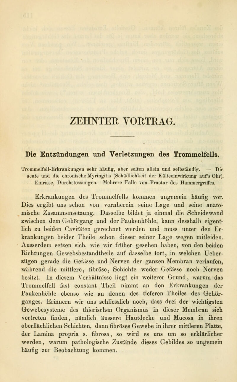 ZEHNTER VORTRAG. Die Entzündungen und Verletzungen des Trommelfells. Trommelfell-Erkrankungen sehr häufig, aber selten allein und selbständig. — Die acute und die chronische Myringitis (Schädlichkeit der Kälteeinwirkung auf's Ohr). — Einrisse, Durchstossungen. Mehrere Fälle von Fractur des Hammergriffes. Erkrankungen des Trommelfells kommen ungemein häufig vor. Dies ergibt uns schon von vornherein seine Lage und seine anato- mische Zusammensetzung. Dasselbe bildet ja einmal die Scheidewand zwischen dem Gehörgang und der Paukenhöhle, kann desshalb eigent- lich zu beiden Cavitäten gerechnet werden und muss unter den Er- krankungen beider Theile schon dieser seiner Lage wegen mitleiden. Ausserdem setzen sich, wie wir früher gesehen haben, von den beiden Richtungen Gewebsbestandtheile auf dasselbe fort, in welchen Ueber- zügen gerade die Gefiisse und Nerven der ganzen Membran verlaufen, während die mittlere, fibröse, Schichte weder Gefässe noch Nerven besitzt. In diesem Verhältnisse liegt ein weiterer Grund, warum das Trommelfell fast constant Thcil nimmt an den Erkrankungen der Paukenhöhle ebenso wie an denen des tieferen Theiles des Gehör- ganges. Erinnern wir uns schliesslich noch, dass drei der wichtigsten Gewebesysteme des thierischen Organismus in dieser Membran sich vertreten finden, nämlich äussere Hautdecke und Mucosa in ihren oberflächlichen Schichten, dann fibröses Gewebe in ihrer mittleren Platte, der Lamina propria s. fibrosa, so wird es uns um so erklärlicher werden, warum pathologische Zustände dieses Gebildes so ungemein häufig zur Beobachtung kommen.