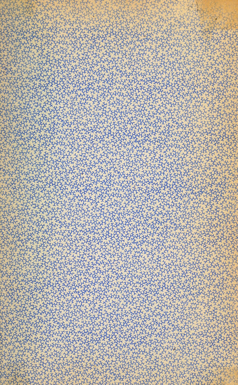 ?^^^yj,^^^:^^^r^'i >