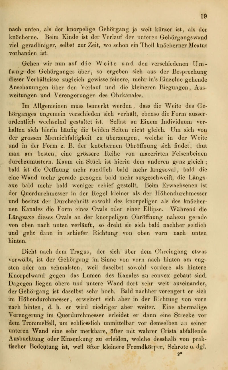 nach unten, als der knorpelige Gehörgang ja weit kürzer ist, als der knöcherne. Beim Kinde ist der Verlauf clor unteren Gehörgangs wand viel geradliniger, selbst zur Zeit, wo schon ein Theil knöcherner Meatus vorhanden ist. Gehen wir nun auf die Weite und den verschiedenen Um- fang des Gehörganges über, so ergeben sich aus der Besprechung dieser Verhältnisse zugleich gewisse feinere, mehr in's Einzelne gehende Anschauungen über den Verlauf und die kleineren Biegungen, Aus- weitungen und Verengerungen des Ohrkanales. Im Allgemeinen muss bemerkt werden. dass die Weite des Ge- hörganges ungemein verschieden sich verhält, ebenso die Form ausser- ordentlich wechselnd gestaltet ist. Selbst an Einem Individuum ver- halten sich hierin häufig die beiden Seiten nicht gleich. Um sich von der grossen Mannichfaltigkeit zu überzeugen, welche in der Weite und in der Form z. B. der knöchernen Ohröffnung sich findet, thut man am besten, eine grössere Reihe von macerirten Felsenbeinen durchzumustern. Kaum ein Stück ist hierin dem anderen ganz gleich ; bald ist die Oeffnung mehr rundlich bald mehr längsoval, bald die eine Wand mehr gerade gezogen bald mehr ausgeschweift, die Längs- axe bald mehr bald weniger schief gestellt. Beim Erwachsenen ist der Querdurchmesser in der Regel kleiner als der Höhendurchmesscr und besitzt der Durchschnitt sowohl des knorpeligen als des knöcher- nen Kanales die Form eines Ovals oder einer Ellipse. Während die Längsaxe dieses Ovals an der knorpeligen Ohröffnung nahezu gerade von oben nach unten verläuft, so dreht sie sich bald nachher seitlich und geht dann in schiefer Richtung von oben vorn nach unten hinten. Dicht nach dem Tragus, der sich über dem Ohreingang etwas vorwölbt, ist der Gehörgang im Sinne von vorn nach hinten am eng- sten oder am schmälsten, weil daselbst sowohl vordere als hintere Knorpelwand gegen das Lumen des Kanales zu convex gebaut sind. Dagegen liegen obere und untere Wand dort sehr weit auseinander, der Gehörgang ist daselbst sehr hoch. Bald nachher verengert er sich im Höhendurchmesser, erweitert sich aber in der Richtung von vorn nach hinten, d. h. er wird niedriger aber weiter. Eine abermalige Verengerung im Querdurchmesser erleidet er dann eine Strecke vor dem Trommelfell, um schliesslich unmittelbar vor demselben an seiner unteren Wand eine sehr merkbare, öfter mit wahrer Crista abfallende Ausbuchtung oder Einsenkung zu erleiden, welche desshalb von prak- tischer Bedeutung ist, weil öfter kleinere Fremdkörper, Schrote u. dgl. 2*