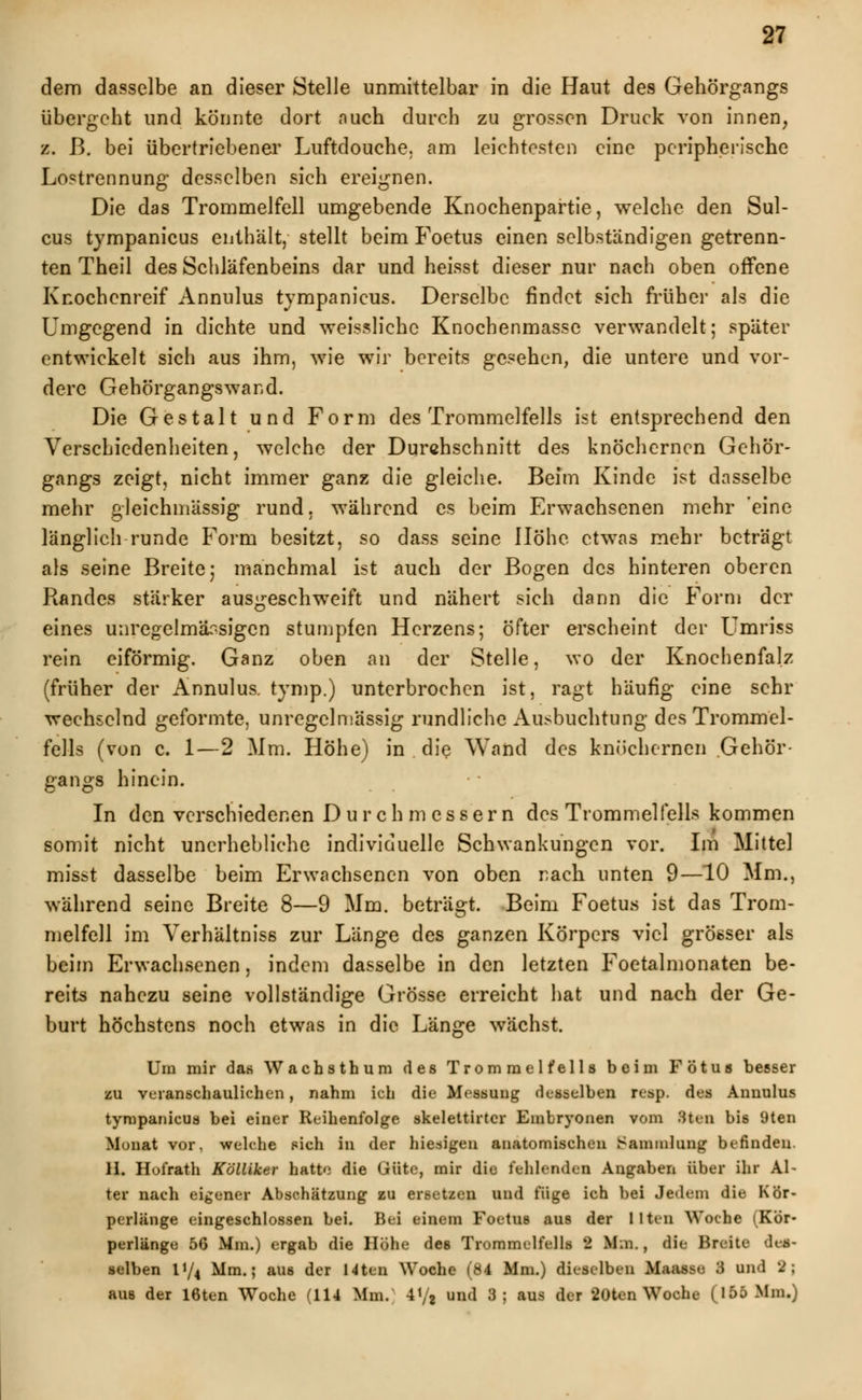 dem dasselbe an dieser Stelle unmittelbar in die Haut des Gehörgangs übergeht und könnte dort nuch durch zu grossen Druck von innen, z. ß. bei übertriebener Luftdouche. am leichtesten eine peripherische Lostrennung desselben sich ereignen. Die das Trommelfell umgebende Knochenpartie, welche den Sul- cus tympanicus enthält, stellt beim Foetus einen selbständigen getrenn- ten Theil des Schläfenbeins dar und heisst dieser nur nach oben offene Knochenreif Annulus tympanicus. Derselbe findet sich früher als die Umgegend in dichte und weisslichc Knochenmasse verwandelt; später entwickelt sich aus ihm, wie wir bereits gesehen, die untere und vor- dere Gehörgangswand. Die Gestalt und Form des Trommelfells ist entsprechend den Verschiedenheiten, welche der Durchschnitt des knöchernen Gehör- gangs zeigt, nicht immer ganz die gleiche. Beim Kinde ist dasselbe mehr gleichmässig rund, während es beim Erwachsenen mehr eine länglich runde Form besitzt, so dass seine Höhe etwas mehr beträgt als seine Breite; manchmal ist auch der Bogen des hinteren oberen Randes stärker ausgeschweift und nähert sich dann die Form der eines unregelmärsigen stumpfen Herzens; öfter erscheint der Umriss rein eiförmig. Ganz oben an der Stelle, wo der Knochenfalz (früher der Annulus. tymp.) unterbrochen ist, ragt häufig eine sehr wechselnd geformte, unregclmässig rundliche Ausbuchtung des Trommel- fells (von c. 1—2 Mm. Höhe) in die Wand des knöchernen Gehör- gangs hinein. In den verschiedenen Durchmessern des Trommelfells kommen somit nicht unerhebliche individuelle Schwankungen vor. Im Mittel misst dasselbe beim Erwachsenen von oben nach unten 9—10 Mm., während seine Breite 8—9 Mm. beträgt. Beim Foetus ist das Trom- melfell im Verhältniss zur Länge des ganzen Körpers viel grösser als beim Erwachsenen, indem dasselbe in den letzten Foetalmonaten be- reits nahezu seine vollständige Grösse erreicht hat und nach der Ge- burt höchstens noch etwas in die Länge wächst. Um mir das Wachsthum des Trommelfells beim Fötus besser zu veranschaulichen, nahm ich die Messung desselben resp. des Annulus tympanicus bei einer Reihenfolge skelettirter Embryonen vom 3ten bis 9ten Monat vor, welche sich in der hiesigen anatomischen Sammlung befinden. H. Hofrath Kölliker hatte die Güte, mir die fohlende! Angaben über ihr Al- ter nach eigener Abschätzung zu ersetzen und füge ich bei Jedem die Kör- perlänge eingeschlossen bei. Bei einem Foetus aus der Htm Woche (Kör- perlänge 56 Mm.) ergab die Höhe des Trommelfells I Mm., die Breite des- selben li/4 Mm.; aus der 14ten Woche (84 Mm.) dieselben Maasse 3 und 2; aus der 16ten Woche (114 Mm. 4 V2 un(1 35 aus der 20ten Woche (155 Mm.)