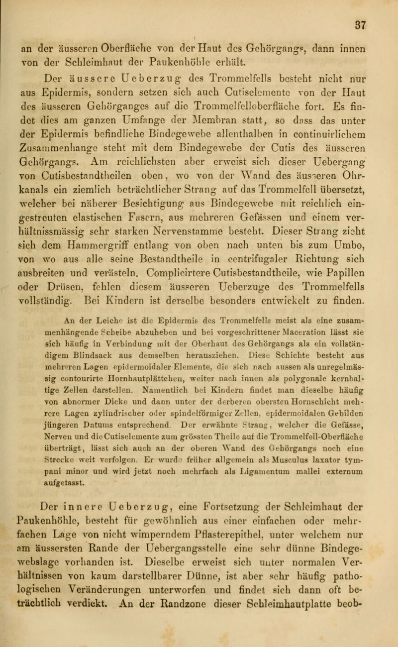 an der äusseren Oberfläche von der Haut des Gehörgang?, dann innen von der Schleimhaut der Paukenhöhle erhält. Der äussere Ueberzug des Trommelfells besteht nicht nur aus Epidermis, sondern setzen sich auch Cutiselementc von der Haut des äusseren Gehörgangcs auf die Trommelfcllobcrfläche fort. Es fin- det dies am ganzen Umfange der Membran statt, so dass das unter der Epidermis befindliehe Bindegewebe allenthalben in continuirlichem Zusammenhange steht mit dem Bindegewebe der Cutis des äusseren Gehörgangs. Am reichlichsten aber erweist sich dieser Uebergang von Cutisbestandthcilen oben, wo von der Wand des äusseren Ohr- kanals ein ziemlich beträchtlicher Strang auf das Trommelfell übersetzt, welcher bei näherer Besichtigung aus Bindegewebe mit reichlich ein- gestreuten elastischen Fasern, aus mehreren Gefässen und einem ver- haltnissmässig sehr starken Nervenstamme besteht. Dieser Strang zieht sich dem Hammergriff entlang von oben nach unten bis zum Umbo, von wo aus alle seine Bestandtheile in centrifugaler Richtung sich ausbreiten und verästeln. Complicirtere Cutisbestandtheile, wie Papillen oder Drüsen, fehlen diesem äusseren Ucberzuge des Trommelfells vollständig. Bei Kindern ist derselbe besonders entwickelt zu finden. An der Leiche ist die Epidermis des Trommelfells meist als eine zusam- menhängende Scheibe abzuheben und bei vorgeschrittener Maceration lässt sie sich häufig in Verbindung mit der Oberhaut des Gehörgangs als ein vollstän- digem Blindsack aus demselben herausziehen. Diese Schichte besteht aus mehreren Lagen epiclermoidaler Elemente, die sich nach aussen als unregelmäs- sig contourirte ITornhautplättehen, weiter nach innen als polygonale kernhal- tige Zellen darstellen. Namentlich bei Kindern findet man dieselbe häufig von abnormer Dicke und dann unter der derberen obersten Hornschicht meh- rere Lagen zylindrischer oder spindelförmiger Zellen, cpidermoidalen Gebilden jüngeren Datums entsprechend. Der erwähnte Strang, welcher die Gefässe, Nerven und dieCutiselemente zum grössten Theile auf die Trommelfeil-Oberfläche überträgt, lässt sich auch an der oberen Wand des Gehörgangs noch eine Strecke weit verfolgen. Er «forde früher allgemein als Musculus laxator tyin- pani minor und wird jetzt noch mehrfach als Ligamentum mallei externum aufgetasst. Der innere Ueberzug, eine Fortsetzung der Schleimhaut der Paukenhöhle, besteht für gewöhnlich aus einer einfachen oder mehr- fachen Lage von nicht wimperndem Pflasterepithel, unter welchem nur am äussersten Rande der Uebcrgangsstcllc eine sehr dünne Bindege- wcbslage vorhanden ist. Dieselbe erweist sich unter normalen Ver- hältnissen von kaum darstellbarer Dünne, ist aber sehr häufig patho- logischen Veränderungen unterworfen und findet sich dann oft be- trächtlich verdickt. An der Randzone dieser Scbleiruhautplatte beob-