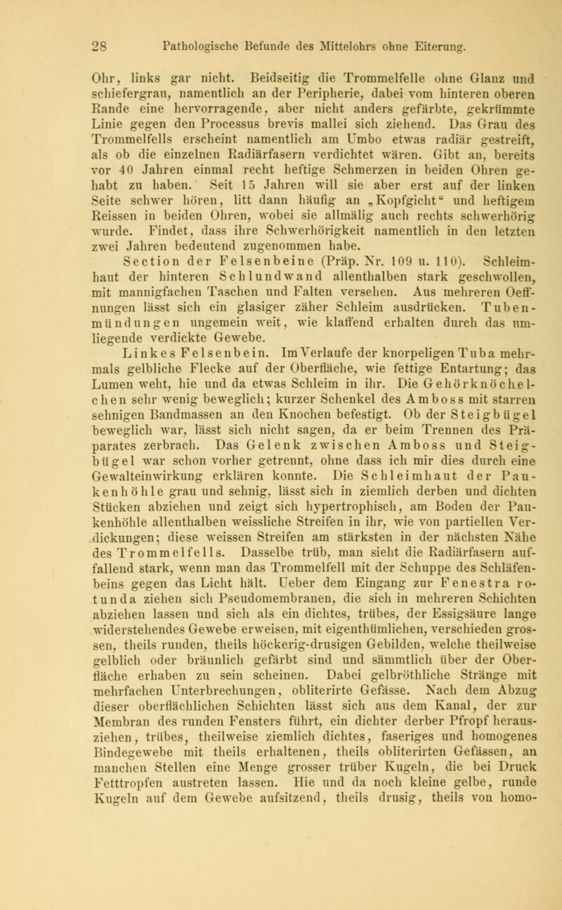 Ohr, links gar nicht. Beidseitig die Trommelfelle ohne Glanz und schiefergrau, namentlich an der Peripherie, dabei vom hinteren oberen Rande eine hervorragende, aber nicht anders gefärbte, gekrümmte Linie gegen den Processus brevis mallei sich ziehend. Das Grau des Trommelfells erscheint namentlich am Umbo etwas radiär gestreift, als ob die einzelnen Radiärfasern verdichtet wären. Gibt an, bereits vor 40 Jahren einmal recht heftige Schmerzen in beiden Ohren ge- habt zu haben. Seit 15 Jahren will sie aber erst auf der linken Seite schwer hören, litt dann häufig an „Kopfgicht und heftigem Reissen in beiden Ohren, wobei sie allmälig auch rechts schwerhörig wurde. Findet, dass ihre Schwerhörigkeit namentlich in den letzten zwei Jahren bedeutend zugenommen habe. Section der Felsenbeine (Präp. Nr. 109 u. 110). Schleim- haut der hinteren Schlund wand allenthalben stark geschwollen, mit mannigfachen Taschen und Falten versehen. Aus mehreren Oeff- nungen lässt sich ein glasiger zäher Schleim ausdrücken. Tuben- mündüngen ungemein weit, wie klaffend erhalten durch das um- liegende verdickte Gewebe. Linkes Felsenbein. Im Verlaufe der knorpeligen Tuba mehr- mals gelbliche Flecke auf der Oberfläche, wie fettige Entartung; das Lumen weht, hie und da etwas Schleim in ihr. Die Gehörknöchel- chen sehr wenig beweglich; kurzer Schenkel des Amboss mit starren sehnigen Bandmassen an den Knochen befestigt. Ob der Steigbügel beweglich war, lässt sich nicht sagen, da er beim Trennen des Prä- parates zerbrach. Das Gelenk zwischen Amboss und Steig- bügel war schon vorher getrennt, ohne dass ich mir dies durch eine Gewalteinwirkung erklären konnte. Die Schleimhaut der Pau- kenhöhle grau und sehnig, lässt sich in ziemlich derben und dichten Stücken abziehen und zeigt sich hypertrophisch, am Boden der Pau- kenhöhle allenthalben weissliche Streifen in ihr, wie von partiellen Ver- dickungen; diese weissen Streifen am stärksten in der nächsten Nähe des Trommelfells. Dasselbe trüb, man sieht die Radiärfasern auf- fallend stark, wenn man das Trommelfell mit der Schuppe des Schläfen- beins gegen das Licht hält. Ueber dem Eingang zur Fenestra ro- tunda ziehen sich Pseudomembranen, die sich in mehreren Schichten abziehen lassen und sich als ein dichtes, trübes, der Essigsäure lange widerstehendes Gewebe erweisen, mit eigenthiimlichen, verschieden gros- sen, theils runden, theils höckerig-drusigen Gebilden, welche theilweise gelblich oder bräunlich gefärbt sind und sämmtlich über der Ober- fläche erhaben zu sein scheinen. Dabei gelbröthliche Stränge mit mehrfachen Unterbrechungen, obliterirte Gefässe. Nach dem Abzug dieser oberflächlichen Schichten lässt sich aus dem Kanal, der zur Membran des runden Fensters führt, ein dichter derber Pfropf heraus- ziehen, trübes, theilweise ziemlich dichtes, faseriges und homogenes Bindegewebe mit theils erhaltenen, theils obliterirten Gefässen, an manchen Stellen eine Menge grosser trüber Kugeln, die bei Druck Fetttropfen austreten lassen. Hie und da noch kleine gelbe, runde Kugeln auf dem Gewebe aufsitzend, theils drusig, theils von homo-