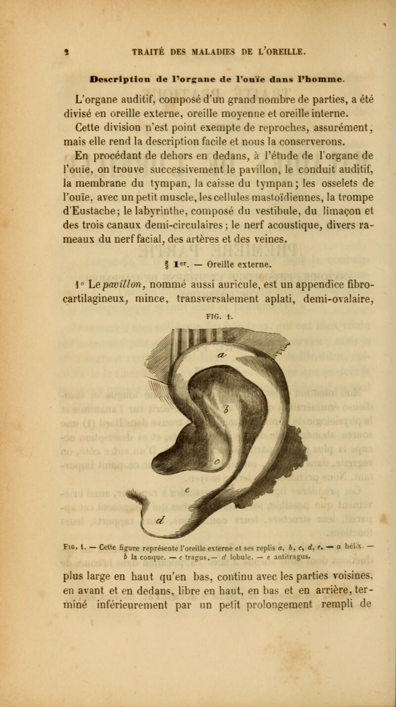 Description de l'organe de l'ouïe dans l'homme. L'organe auditif, composé d'un grand nombre de parties, a été divisé en oreille externe, oreille moyenne et oreille interne. Cette division n'est point exempte de reproches, assurément, mais elle rend la description facile et nous la conserverons. En procédant de dehors en dedans, à l'étude de l'organe de l'ouïe, on trouve successivement le pavillon, le conduit auditif, la membrane du tympan, la caisse du tympan; les osselets de l'ouïe, avec un petit muscle, les cellules mastoïdiennes, la trompe dEustache; le labyrinthe, composé du vestibule, du limaçon et des trois canaux demi-circulaires ; le nerf acoustique, divers ra- meaux du nerf facial, des artères et des veines. | 1er. _ Oreille externe. 1° Le pavillon, nommé aussi auricule, est un appendice fibro- cartilagineux, mince, transversalement aplati, demi-ovalaire. FTG. 1. Fig. i. — Cette figure représente l'oreille externe et ses replis a, b, c, d, c. — a héU — b la conque. — c tragus.— d lobule. — e antitragus. plus large en haut qu'en bas, continu avec les parties voisines, en avant et en dedans, libre en haut, en bas et en arrière, ter- miné inférieurement par un petit prolongement rempli de