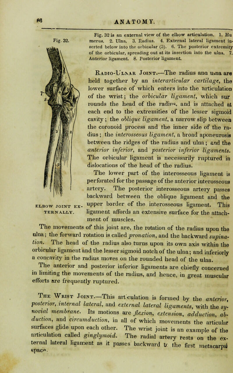 «5 Fig. 32 is an external view of the elbow articulation. 1. Hu Fig. 32. merus. 2. Ulna. 3. Radius. 4. External lateral ligament in- serted below into the orbicular (5). 6. The posterior extremity of the orbicular, spreading out at its insertion into the ulna. 7. Anterior ligament. 8. Posterior ligament. Radio-L'li^ar Joint.—The radius ana uina are held together by an interarlicular cartilage, the lower surface of which enters into the articulation of the wrist; the orbicular ligament, which sur rounds the head of the radii*, and is attached al each end to the extremities of the lesser sigmoid cavity ; the oblique ligament, a narrow slip between the coronoid process and the inner side of the ra- dius ; the interosseous ligament, a broad aponeurosis between the ridges of the radius and ulna; and the anterior inferior, and posterior inferior ligaments. The orbicular ligament is necessarily ruptured in dislocations of the head of the radius. The lower part of the interosseous ligament is perforated for the passage of the anterior interosseous artery. The posterior interosseous artery passes backward between the oblique ligament and the upper border of the interosseous ligament. This ligament affords an extensive surface for the attach- ment of muscles. The movements of this joint are, the rotation of the radius upon the ulna; the forward rotation is called pronation, and the backward supina- tion. The head of the radius also turns upon its own axis within the orbicular ligament and the lesser sigmoid notch of the ulna; and inferiorly a concavity in the radius moves on the rounded head of the ulna. The anterior and posterior inferior ligaments are chiefly concerned in limiting the movements of the radius, and hence, in great muscular efforts are frequently ruptured. The Wrist Joint.—This angulation is formed by the anterior, posterior, internal lateral, and external lateral ligaments, with the sy- novial membrane. Its motions are flexion, extension, adduction, ab- duction, and circumduction, in all of which movements the articular surfaces glide upon each other. The wrist joint is an example of the articulation called ginglymoid. The radial artery rests on the ex- ternal lateral ligament as it passes backward tr the first metacarpal «pac». ' ELBOW JOINT EX- TERNALLY.