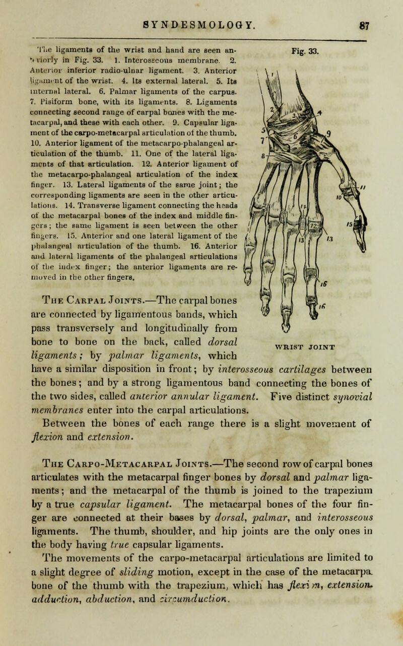 Fig. 33. Tlie ligaments of the wrist and hand are seen an- •t rinrly in Fig. 33. 1. Interosseous membrane. 2. Anterior interior radio-uloar ligament. 3. Anterior ligament of the wrist. 4. Its external lateral. 5. Its internal lateral. 6. Palmar ligaments of the carpus. 7. Pisiform bone, with its ligaments. 8. Ligaments connecting second range of carpal bones with the me- tacarpal, and these with each other. 9. Capsular liga- ment of the carpo-metacarpal articulation ol the thumb. 10. Anterior ligament of the metacarpophalangeal ar- ticulation of the thumb. 11. One of the lateral liga- ments of that articulation. 12. Anterior ligament of the metacarpophalangeal articulation of the index ringer. 13. Lateral ligaments of the same joint; the corresponding ligaments are seen in the other articu- lations. 14. Transverse ligament connecting the heads of the metacarpal bones of the index and middle fin- gers ; the same ligament is seen between the other fingers. 15. Anterior and one lateral ligament of the phalangeal articulation of the thumb. 16. Anterior and lateral ligaments of the phalangeal articulations of the index finger; the anterior ligaments are re- moved in the other fingers. The Carpal Joints.—The carpal bones are connected by ligamentous bands, which pass transversely and longitudinally from bone to bone on the back, called dorsal ligaments; by palmar ligaments, which have a similar disposition in front; by interosseous cartilages between the bones; and by a strong ligamentous band connecting the bones of the two sides, called anterior annular ligament. Five distinct synovial membranes enter into the carpal articulations. Between the bones of each range there is a slight movement of flexion and extension. WRIST JOINT The Carpo-Metacarpal Joints.—The second row of carpal bones articulates with the metacarpal finger bones by dorsal and palmar liga- ments ; and the metacarpal of the thumb is joined to the trapezium by a true capsular ligament. The metacarpal bones of the four fin- ger are connected at their bases by dorsal, palmar, and interosseous ligaments. The thumb, shoulder, and hip joints are the only ones in the body having true capsular ligaments. The movements of the carpo-metacarpal articulations are limited to a slight degree of sliding motion, except in the case of the metacarpa. bone of the thumb with the trapezium, which has flexim, extension, adduction, abduction, and circumduction.