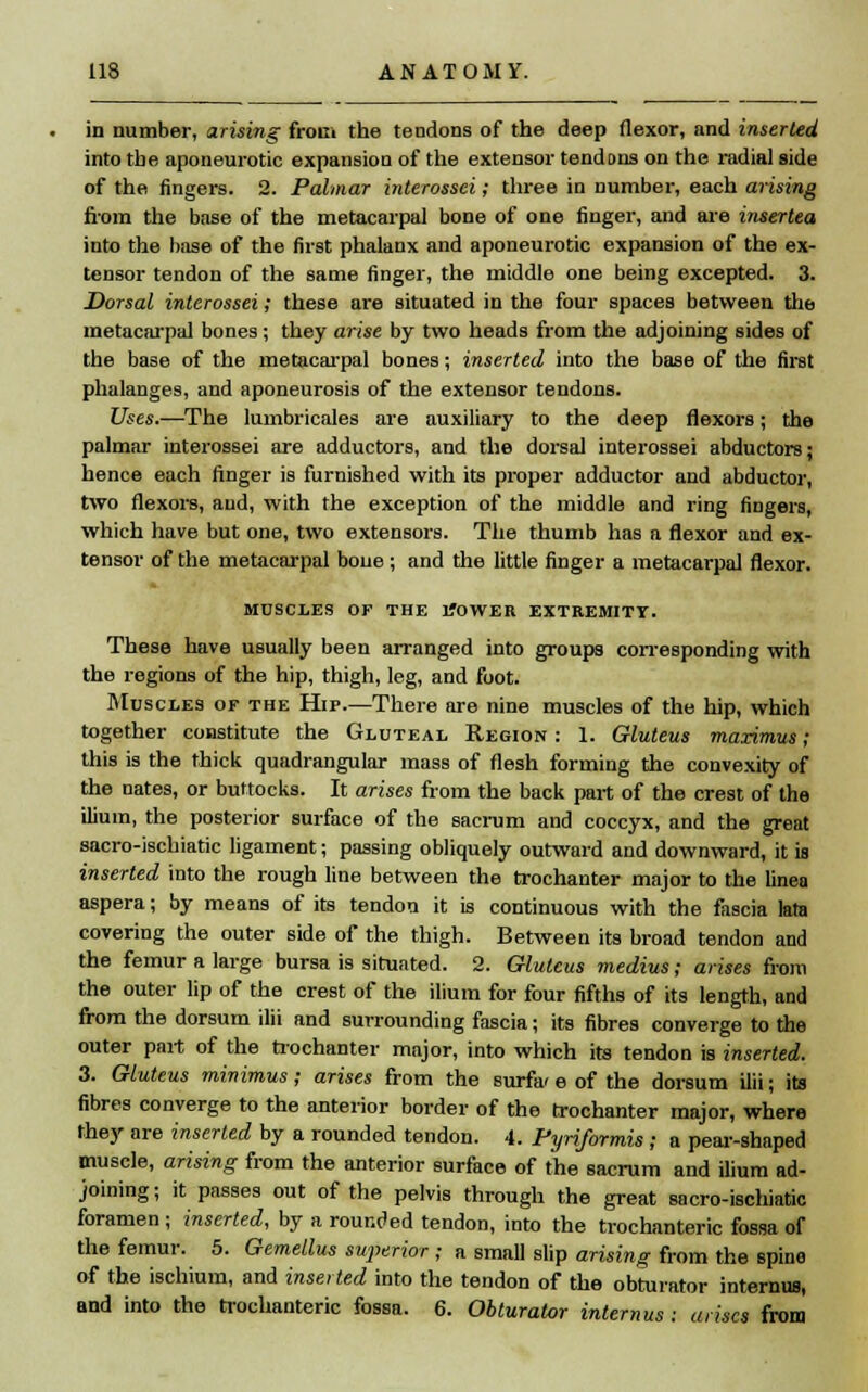 in number, arising from the tendons of the deep flexor, and inserted into the aponeurotic expansion of the extensor tendons on the radial side of the fingers. 2. Palmar interossei; three in number, each arising from the base of the metacarpal bone of one finger, and are insertea into the base of the first phalanx and aponeurotic expansion of the ex- tensor tendon of the same finger, the middle one being excepted. 3. Dorsal interossei; these are situated in the four spaces between the metacarpal bones; they arise by two heads from the adjoining sides of the base of the metacarpal bones; inserted into the base of the first phalanges, and aponeurosis of the extensor tendons. Uses.—The lumbricales are auxiliary to the deep flexors; the palmar interossei are adductors, and the dorsal interossei abductors; hence each finger is furnished with its proper adductor and abductor, two flexors, and, with the exception of the middle and ring fingers, which have but one, two extensors. The thumb has a flexor and ex- tensor of the metacarpal boue ; and the little finger a metacarpal flexor. MUSCLES OF THE L'OWER EXTREMITY. These have usually been arranged into groups corresponding with the regions of the hip, thigh, leg, and foot. Muscles of the Hip.—There are nine muscles of the hip, which together constitute the Gluteal Region : 1. Gluteus maximus; this is the thick quadrangular mass of flesh forming the convexity of the nates, or buttocks. It arises from the back part of the crest of the ilium, the posterior surface of the sacrum and coccyx, and the great sacro-ischiatic ligament; passing obliquely outward and downward, it is inserted into the rough line between the trochanter major to the linea aspera; by means of its tendon it is continuous with the fascia lata covering the outer side of the thigh. Between its broad tendon and the femur a large bursa is situated. 2. Gluteus medius; arises from the outer lip of the crest of the ilium for four fifths of its length, and from the dorsum ilii and surrounding fascia; its fibres converge to the outer part of the trochanter major, into which its tendon is inserted. 3. Gluteus minimus; arises from the surfa< e of the dorsum ilii; its fibres converge to the anterior border of the trochanter major, where they are inserted by a rounded tendon. 4. Pyriformis ; a pear-shaped muscle, arising from the anterior surface of the sacrum and ilium ad- joining; it passes out of the pelvis through the great sacro-ischiatic foramen ; inserted, by a rounded tendon, into the trochanteric fossa of the femur. 5. Gemellus superior ; a small slip arising from the spine of the ischium, and inserted into the tendon of the obturator internus, and into the trochanteric fossa. 6. Obturator internus : arises from