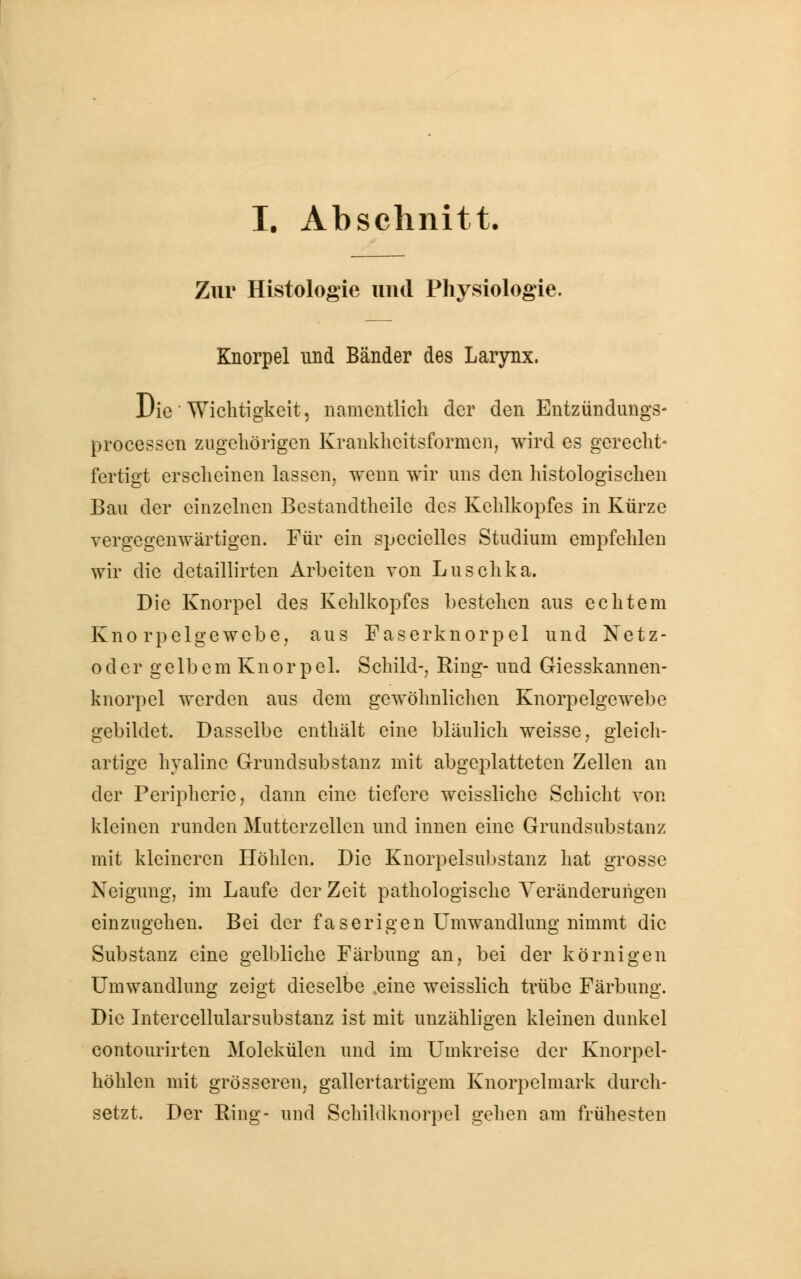 I. Abschnitt. Zur Histologie und Physiologie. Knorpel und Bänder des Larynx. Die Wichtigkeit, namentlich der den Entzündungs- processen zugehörigen Krankheitsfornien, wird es gerecht« fertigt erscheinen lassen, wenn wir uns den histologischen Bau der einzelnen Bestandteile des Kehlkopfes in Kürze vergegenwärtigen. Für ein specielles Studium empfehlen wir die detaillirten Arbeiten von Luschka. Die Knorpel des Kehlkopfes bestehen aus echtem Knorpelgewebe, aus Faserknorpel und Netz- oder gelbem Knor pel. Schild-, Ring- und Giesskannen- knorpel werden aus dem gewöhnlichen Knorpelgewebe gebildet. Dasselbe enthält eine bläulich weisse, gleich- artige hyaline Grundsubstanz mit abgeplatteten Zellen an der Peripherie, dann eine tiefere weissliche Schicht von kleinen runden Mutterzellen und innen eine Grundsubstanz mit kleineren Höhlen. Die Knorpelsubstanz hat grosse Neigung, im Laufe der Zeit pathologische Veränderungen einzugehen. Bei der faserigen Umwandlung nimmt die Substanz eine gelbliche Färbung an, bei der körnigen Umwandlung zeigt dieselbe .eine weisslich trübe Färbung. Die Intercellularsubstanz ist mit unzähligen kleinen dunkel contourirten Molekülen und im Umkreise der Knorpel- höhlen mit grösseren, gallertartigem Knorpelmark durch- setzt. Der Ring- und Schihlknorpel gehen am frühesten