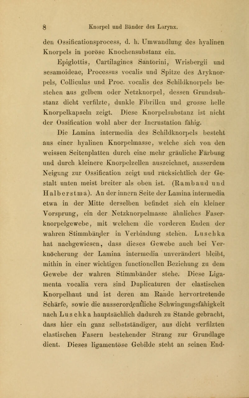 den Ossilicationsprocess, d. li. Umwandlung des hyalinen Knorpels in poröse Knochensubstanz ein. Epiglottis, Cartilagines Santorini, Wrisbergii und sesamoideae, Processus vocalis und Spitze des Arvknor- pels, Colliculus und Proc. vocalis des Schildknorpels be- stehen aus gelbem oder Netzknorpel, dessen Grundsub- stanz dicht verfilzte, dunkle Fibrillen und grosse helle Knorpelkapseln zeigt. Diese Knorpelsubstanz ist nicht der Ossifikation wohl aber der Incrustation fähig. Die Lamina intermedia des Schildknorpels besteht aus einer hyalinen Knorpelmasse, welche sich von den weissen Seitenplatten durch eine mehr gräuliche Färbung und durch kleinere Knorpclzcllen auszeichnet, ausserdem Neigung zur Ossifikation zeigt und rücksichtlich der Ge- stalt unten meist breiter als oben ist. (Rambaud und H alb er s t m a). An der innern Seite der Lamina intermedia etwa in der Mitte derselben befindet sich ein kleiner Vorsprung, ein der Netzknorpelmasse ähnliches Faser- knorpelgewebe, mit welchem die vorderen Enden der wahren Stimmbänder in Verbindung stehen. Luschka hat nachgewiesen, dass dieses Gewebe auch bei Ver- knöcherung der Lamina intermedia unverändert bleibt, mithin in einer wichtigen functionellen Beziehung zu dem Gewebe der wahren Stimmbänder stehe. Diese Liga- menta vocalia vera sind Duplicaturen der elastischen Knorpelhaut und ist deren am Rande hervortretende Schärfe, sowie die ausserordentliche Schwingungsfähigkeit nach Lus chka hauptsächlich dadurch zu Stande gebracht, dass hier ein ganz selbstständiger, aus dicht verfilzten elastischen Fasern bestehender Strang zur Grundlage dient. Dieses ligamentöse Gebilde steht an seinen End-