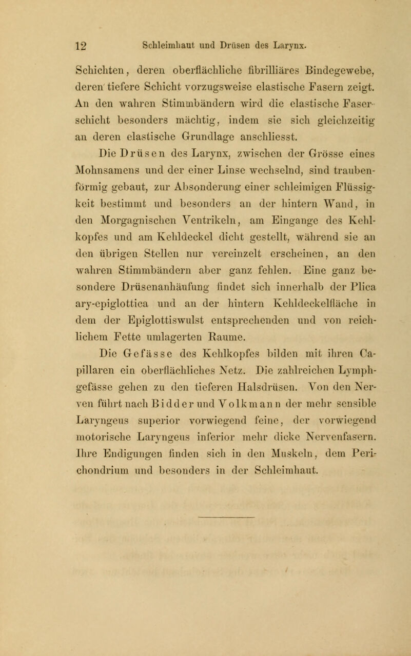 Schichten, deren oberflächliche fibrilliäres Bindegewebe, deren tiefere Schicht vorzugsweise elastische Fasern zeigt. An den wahren Stimmbändern wird die elastische Faser schiebt besonders mächtig, indem sie sich gleichzeitig an deren elastische Grundlage anschliesst. Die Drüsen des Larynx, zwischen der Grösse eines Mohnsamens und der einer Linse wechselnd, sind trauben- förmig gebaut, zur Absonderung einer schleimigen Flüssig- keit bestimmt und besonders an der hintern Wand, in den Morgagnischen Ventrikeln, am Eingange des Kehl- kopfes und am Kehldeckel dicht gestellt, während sie an den übrigen Stellen nur vereinzelt erscheinen, an den wahren Stimmbändern aber ganz fehlen. Eine ganz be- sondere Drüsenanhäufung iindet sich innerhalb der Plica ary-epiglottica und an der hintern Kehldeckelfläche in dem der Epiglottiswulst entsprechenden und von reich- lichem Fette umlagerten Räume. Die Gefasse des Kehlkopfes bilden mit ihren Ca- pillaren ein oberflächliches Netz. Die zahlreichen Lymph- gefässe gehen zu den tieferen Halsdrüsen. Von den Ner- ven führt nach B i dd e r und Volkm an n der mehr sensible Laryngeus superior vorwiegend feine, der vorwiegend motorische Laryngeus inferior mehr dicke Nervenfasern. Ihre Endigungen finden sich in den Muskeln, dem Peri- chondrium und besonders in der Schleimhaut.
