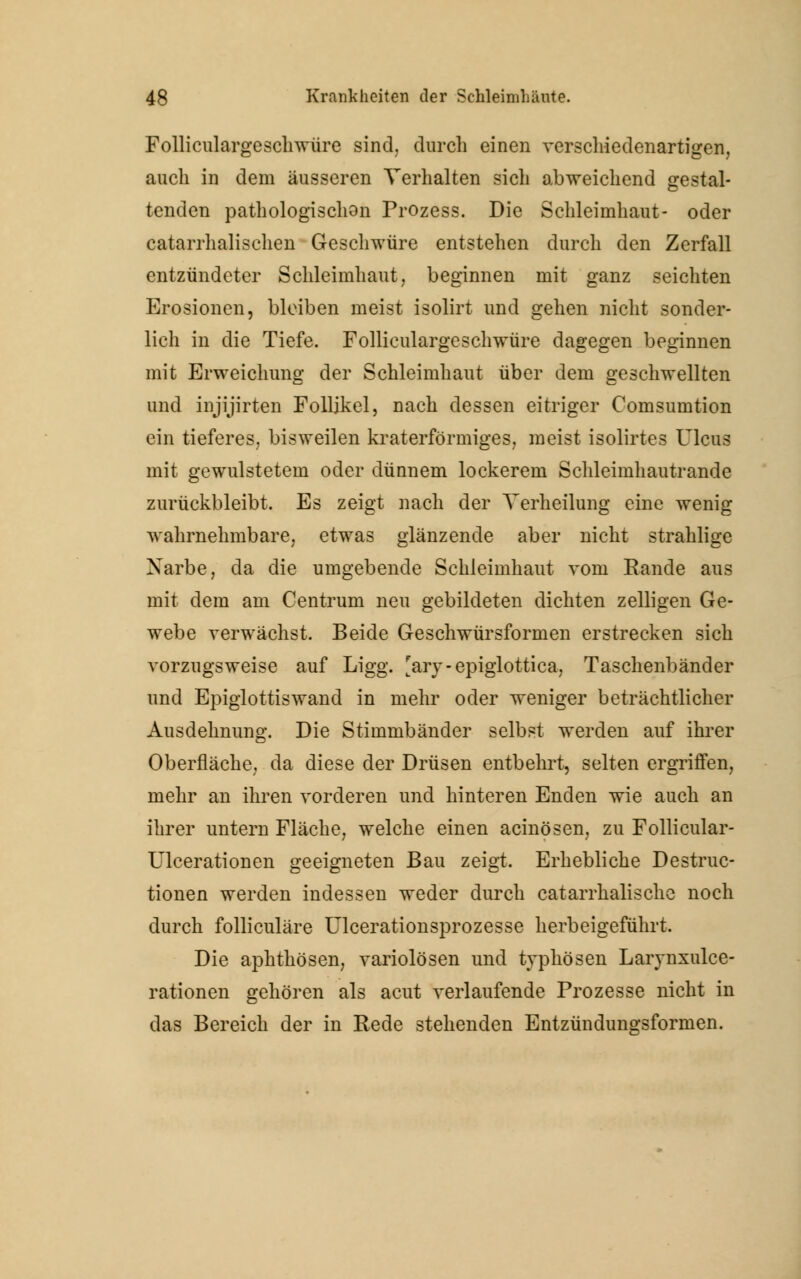 Folliculargeschwüre sind, durch einen verschiedenartigen, auch in dem äusseren Verhalten sich abweichend gestal- tenden pathologischen Prozess. Die Schleimhaut- oder catarrhalischen Geschwüre entstehen durch den Zerfall entzündeter Schleimhaut, beginnen mit ganz seichten Erosionen, bleiben meist isolirt und gehen nicht sonder- lich in die Tiefe. Folliculargeschwüre dagegen beginnen mit Erweichung der Schleimhaut über dem geschwellten und injijirten Follikel, nach dessen eitriger Comsumtion ein tieferes, bisweilen kraterförmiges, meist isolirtes Ulcus mit gewulstetem oder dünnem lockerem Schleimhautrande zurückbleibt. Es zeigt nach der Yerheilung eine wenig wahrnehmbare, etwas glänzende aber nicht strahlige Xarbe, da die umgebende Schleimhaut vom Rande aus mit dem am Centrum neu gebildeten dichten zelligen Ge- webe verwächst. Beide Geschwürsformen erstrecken sich vorzugsweise auf Ligg. [ary-epiglottica, Taschenbänder und Epiglottiswand in mehr oder weniger beträchtlicher Ausdehnung. Die Stimmbänder selbst werden auf ihrer Oberfläche, da diese der Drüsen entbehrt, selten ergriffen, mehr an ihren vorderen und hinteren Enden wie auch an ihrer untern Fläche, welche einen acinösen, zu Follicular- Ulcerationen geeigneten Bau zeigt. Erhebliche Destruc- tionen werden indessen weder durch catarrhalische noch durch folliculäre Ulcerationsprozesse herbeigeführt. Die aphthösen, variolösen und typhösen Larynxulce- rationen gehören als acut verlaufende Prozesse nicht in das Bereich der in Rede stehenden Entzündungsformen.