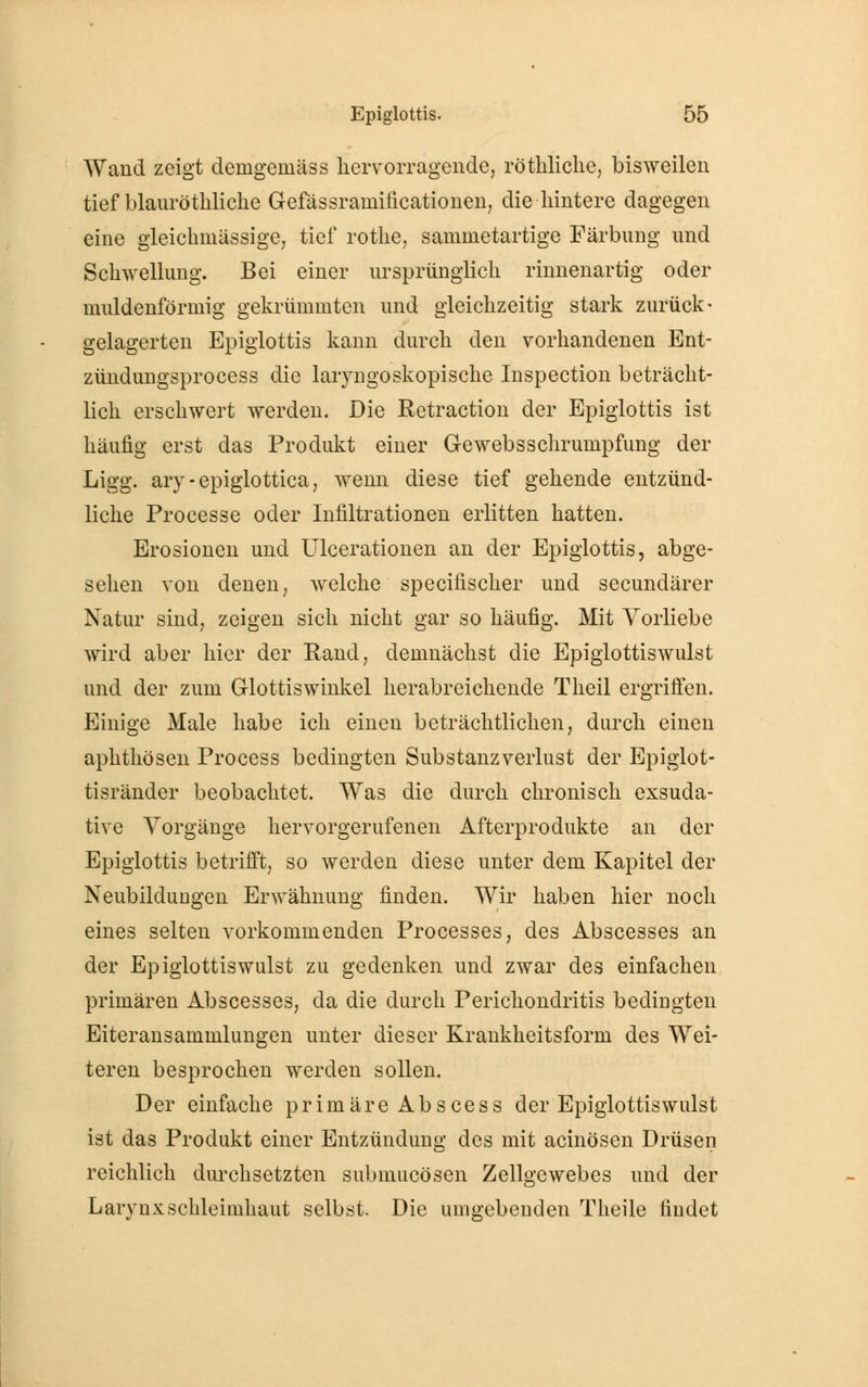 Wand zeigt demgemäss hervorragende, röthliche, bisweilen tief blauröthliche Gefässramificationen, die hintere dagegen eine gleichinässige, tief rothe, sammetartige Färbung und Schwellung. Bei einer ursprünglich rinnenartig oder muldenförmig gekrümmten und gleichzeitig stark zurück- gelagerten Epiglottis kann durch den vorhandenen Ent- zündungsprocess die laryngoskopische Inspection beträcht- lich erschwert werden. Die Retraction der Epiglottis ist häufig erst das Produkt einer GewebsSchrumpfung der Ligg. arv-epiglottica, wenn diese tief gehende entzünd- liche Processe oder Infiltrationen erlitten hatten. Erosionen und Ulcerationen an der Epiglottis, abge- sehen von denen; welche specifischer und secundärer Natur sind, zeigen sich nicht gar so häufig. Mit Vorliebe wird aber hier der Rand, demnächst die Epiglottiswulst und der zum Glottiswinkel herabreichende Theil ergriffen. Einige Male habe ich einen beträchtlichen, durch einen aphthösen Process bedingten Substanzverlust der Epiglot- tisränder beobachtet. Was die durch chronisch exsuda- tive Vorgänge hervorgerufenen Afterprodukte an der Epiglottis betrifft, so werden diese unter dem Kapitel der Neubildungen Erwähnung finden. Wir haben hier noch eines selten vorkommenden Processes, des Abscesses an der Epiglottiswulst zu gedenken und zwar des einfachen primären Abscesses, da die durch Perichondritis bedingten Eiteransammlungen unter dieser Krankheitsform des Wei- teren besprochen werden sollen. Der einfache primäre Abscess der Epiglottiswulst ist das Produkt einer Entzündung des mit acinösen Drüsen reichlich durchsetzten submucösen Zellgewebes und der LarynxSchleimhaut selbst. Die umgebenden Theile findet