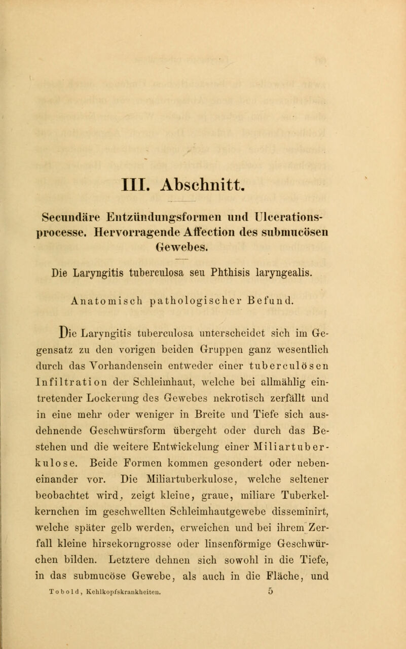 III. Abschnitt. Secundäre Entzündnngsformen und Uleerations- processe. Hervorragende Affection des snbmncösen Gewebes. Die Laryngitis tuberculosa seu Phthisis laryngealis. Anatomisch pathologischer Befund. Die Laryngitis tuberculosa unterscheidet sich im Ge- gensatz zu den vorigen beiden Gruppen ganz wesentlich durch das Vorhandensein entweder einer tuberculösen Infiltration der Schleimhaut, welche bei allmählig ein- tretender Lockerung des Gewebes nekrotisch zerfällt und in eine mehr oder weniger in Breite und Tiefe sich aus- dehnende Geschwursform übergeht oder durch das Be- stehen und die weitere Entwickelung einer Miliartuber- kulose. Beide Formen kommen gesondert oder neben- einander vor. Die Miliartuberkulose, welche seltener beobachtet wird, zeigt kleine, graue, miliare Tuberkel- kernchen im geschwellten Schleimhautgewebe disseminirt, welche später gelb werden, erweichen und bei ihrem Zer- fall kleine hirsekorngrosse oder linsenförmige Geschwür- chen bilden. Letztere dehnen sich sowohl in die Tiefe, in das submucöse Gewebe, als auch in die Fläche, und T o b o 1 d , Kehlkopfskraukheiteu. 5