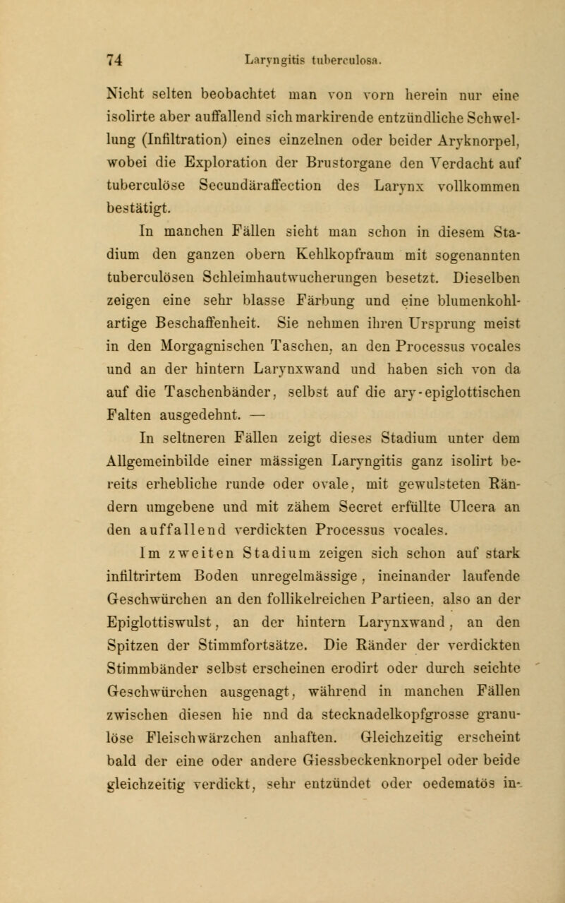 Nicht selten beobachtet man von vorn herein nur eine isolirte aber auffallend sichmarkirende entzündliche Schwel- lung (Infiltration) eines einzelnen oder beider Aryknorpel, wobei die Exploration der Brustorgane den Verdacht auf tuberculöse Secundäraffection des Larynx vollkommen bestätigt. In manchen Fällen sieht man schon in diesem Sta- dium den ganzen obern Kehlkopfraum mit sogenannten tuberculösen Schleimhautwucherungen besetzt. Dieselben zeigen eine sehr blasse Färbung und eine blumenkohl- artige Beschaffenheit. Sie nehmen ihren Ursprung meist in den Morgagnischen Taschen, an den Processus vocales und an der hintern Larvnxwand und haben sich von da auf die Taschenbänder, selbst auf die aiy-epiglottischen Falten ausgedehnt. — In seltneren Fällen zeigt dieses Stadium unter dem Allgemeinbilde einer massigen Laryngitis ganz isolirt be- reits erhebliche runde oder ovale, mit gewulsteten Rän- dern umgebene und mit zähem Secret erfüllte Ulcera an den auffallend verdickten Processus vocales. Im zweiten Stadium zeigen sich schon auf stark infiltrirtem Boden unregelmässige, ineinander laufende G-eschwürchen an den follikelreichen Partieen. also an der Epiglottiswulst, an der hintern Larvnxwand. an den Spitzen der Stimmfortsätze. Die Ränder der verdickten Stimmbänder selbst erscheinen erodirt oder durch seichte Geschwürchen ausgenagt, während in manchen Fällen zwischen diesen hie nnd da stecknadelkopfgrosse granu- löse Fleischwärzchen anhaften. Gleichzeitig erscheint bald der eine oder andere Giessbeckenknorpel oder beide gleichzeitig verdickt, sehr entzündet oder oedematös in--