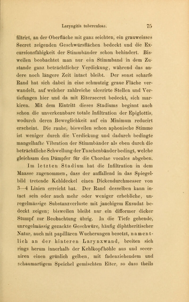 filtrirt, an der Oberfläche mit gaDz seichten, ein grauweisscs Secret zeigenden Geschwürsflächen bedeckt und die Ex- cursionsfähigkeit der Stimmbänder schon behindert. Bis- weilen beobachtet man nur ein Stimmband in dem Zu- stande ganz beträchtlicher Verdickung, während das an- dere noch längere Zeit intact bleibt. Der sonst scharfe Rand hat sich dabei in eine schmutzig graue Fläche ver- wandelt, auf welcher zahlreiche ulcerirte Stellen und Ver- tiefungen hier und da mit Eitersecret bedeckt, sich mar- kiren. Mit dem Eintritt dieses Stadiums beginnt auch schon die unverkennbare totale Infiltration der Epiglottis. wodurch deren Beweglichkeit auf ein Minimum reducirt erscheint. Die rauhe, bisweilen schon aphonische Stimme ist weniger durch die Verdickung und dadurch bedingte mangelhafte Vibration der Stimmbänder als eben durch die beträchtliche Schwellung der Taschenbänder bedingt, welche gleichsam den Dämpfer für die Chordae vocales abgeben. Im letzten Stadium hat die Infiltration in dem Maasse zugenommen, dass der auffallend in das Spiegel- bild tretende Kehldeckel einen Dickendurchmesser von 3—4 Linien erreicht hat. Der Rand desselben kann in- tact sein oder auch mehr oder weniger erhebliche, un- regelmässige Substanzverluste mit jauchigem Exsudat be- deckt zeigen; bisweilen bleibt nur ein difformer dicker Stumpf zur Beobachtung übrig. In die Tiefe gehende, unregelmässig gezackte Geschwüre, häufig diphtherischer Natur, auch mit papillären Wucherungen besetzt, nament- lich an der hinteren Larynxwand, breiten sich rings herum innerhalb der Kehlkopf höhle aus und secer- niren einen grünlich gelben, mit fadenziehendem und schaumartigem Speichel gemischten Eiter, so dass theils