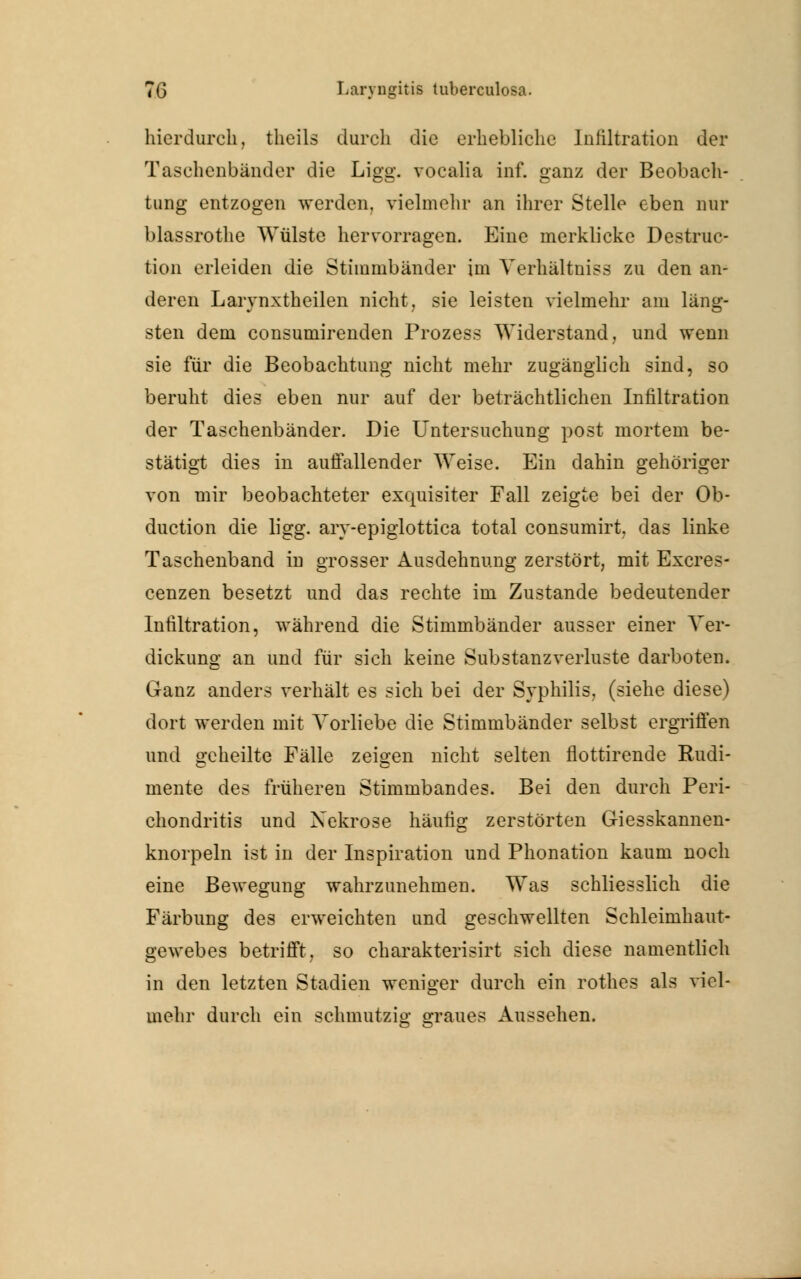 hierdurch, theils durch die erhebliche Infiltration der Taschenbänder die Ligg. vocalia inf. ganz der Beobach- tung entzogen werden, vielmehr an ihrer Stelle eben nur blassrothe Wülste hervorragen. Eine merkliche Destruc- tion erleiden die Stimmbänder im Yerhältniss zu den an- deren Larynxtheilen nicht, sie leisten vielmehr am läng- sten dem consumirenden Prozess Widerstand, und wenn sie für die Beobachtung nicht mehr zugänglich sind, so beruht dies eben nur auf der beträchtlichen Infiltration der Taschenbänder. Die Untersuchung post mortem be- stätigt dies in auffallender Weise. Ein dahin gehöriger von mir beobachteter exquisiter Fall zeigte bei der Ob- duction die ligg. ary-epiglottica total consumirt. das linke Taschenband in grosser Ausdehnung zerstört, mit Excres- cenzen besetzt und das rechte im Zustande bedeutender Infiltration, während die Stimmbänder ausser einer Ver- dickung an und für sich keine Substanzverluste darboten. Ganz anders verhält es sich bei der Syphilis, (siehe diese) dort werden mit Vorliebe die Stimmbänder selbst ergriffen und geheilte Fälle zeigen nicht selten flottirende Rudi- mente des früheren Stimmbandes. Bei den durch Peri- chondritis und Nekrose häufig zerstörten Giesskannen- knorpeln ist in der Inspiration und Phonation kaum noch eine Bewegung wahrzunehmen. Was schliesslich die Färbung des erweichten und geschwellten Schleimhaut- gewebes betrifft, so charakterisirt sich diese namentlich in den letzten Stadien weniger durch ein rothes als viel- mehr durch ein schmutzig graues Aussehen.