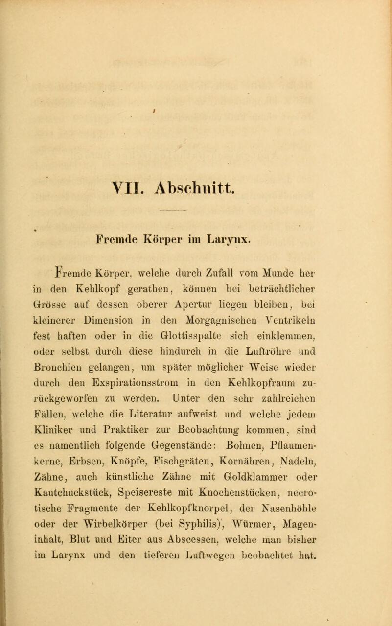 VII. Abschnitt Fremde Körper im Larynx. Fremde Körper, welche durch Zufall vom Munde her in den Kehlkopf gerathen, können bei beträchtlicher Grösse auf dessen oberer Apertur liegen bleiben, bei kleinerer Dimension in den Morgagnischen Ventrikeln fest haften oder in die Glottisspalte sich einklemmen, oder selbst durch diese hindurch in die Luftröhre und Bronchien gelangen, um später möglicher Weise wieder durch den Exspirationsstrom in den Kehlkopfraum zu- rückgeworfen zu werden. Unter den sehr zahlreichen Fällen, welche die Literatur aufweist und welche jedem Kliniker und Praktiker zur Beobachtung kommen, sind es namentlich folgende Gegenstände: Bohnen, Pflaumen- kerne, Erbsen, Knöpfe, Fischgräten, Kornähren, Nadeln, Zähne, auch künstliche Zähne mit Goldklammer oder Kautchuckstück, Speisereste mit Knochenstücken, necro- tische Fragmente der Kehlkopfknorpel, der Nasenhöhle oder der Wirbelkörper (bei Syphilis), Würmer, Magen- inhalt, Blut und Eiter aus Abscessen, welche man bisher im Larynx und den tieferen Luftwegen beobachtet hat.
