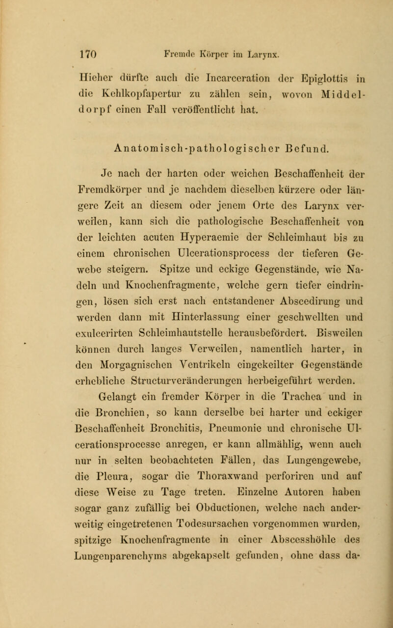Hieher dürfte auch die Incarceration der Epiglottis in die Kehlkopfapertur zu zählen sein, wovon Middel- dorpf einen Fall veröffentlicht hat. Anatomisch-pathologisch er Befund. Je nach der harten oder weichen Beschaffenheit der Fremdkörper und je nachdem dieselben kürzere oder län- gere Zeit an diesem oder jenem Orte des Larynx ver- weilen, kann sich die pathologische Beschaffenheit von der leichten acuten Hyperaemie der Schleimhaut bis zu einem chronischen Ulcerationsprocess der tieferen Ge- webe steigern. Spitze und eckige Gegenstände, wie Na- deln und Knochenfragmente, welche gern tiefer eindrin- gen, lösen sich erst nach entstandener Abscedirung und werden dann mit Hinterlassung einer geschwellten und exuleerirten Schleimhautstelle herausbefördert. Bisweilen können durch langes Verweilen, namentlich harter, in den Morgagnischen Ventrikeln eingekeilter Gegenstände erhebliche Structurveränderungen herbeigeführt werden. Gelangt ein fremder Körper in die Trachea und in die Bronchien, so kann derselbe bei harter und eckiger Beschaffenheit Bronchitis, Pneumonie und chronische Ul- cerationsprocessc anregen, er kann allmählig, wenn auch nur in selten beobachteten Fällen, das Lungengewebe, die Pleura, sogar die Thoraxwand perforiren und auf diese Weise zu Tage treten. Einzelne Autoren haben sogar ganz zufällig bei Obductionen, welche nach ander- weitig eingetretenen Todesursachen vorgenommen wurden, spitzige Knochenfragmente in einer Abscesshöhle des Lungenparenchyms abgekapselt gefunden, ohne dass da-