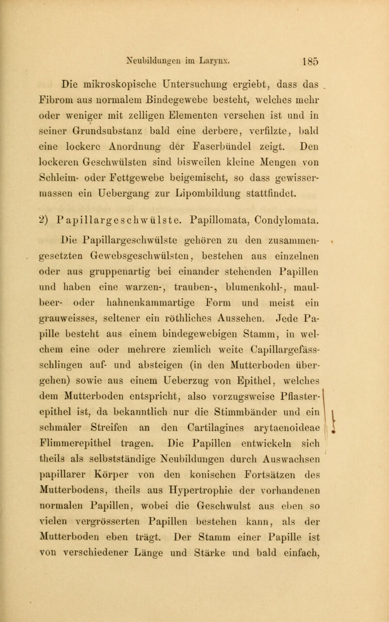 Die mikroskopische Untersuchung ergiebt, dass das Fibrom aus normalem Bindegewebe besteht, welches mehr oder weniger mit zelligen Elementen versehen ist und in seiner Grundsubstanz bald eine derbere, verfilzte, bald eine lockere Anordnung der Faserbündel zeigt. Den lockeren Geschwülsten sind bisweilen kleine Mengen von Schleim- oder Fettgewebe beigemischt, so dass gewisser- masscn ein Uebergang zur Lipombilcluug stattfindet. 2) Papillargeschwülste. Papillomata, Condylomata. Die Papillargeschwülste gehören zu den zusammen- gesetzten Gewebsgeschwülsten, bestehen aus einzelnen oder aus gruppenartig bei einander stehenden Papillen und haben eine warzen-, trauben-, blumenkohl-, maul- beer- oder hahnenkammartige Form und meist ein grauweisses, seltener ein röthliches Aussehen. Jede Pa- pille besteht aus einem bindegewebigen Stamm, in wel- chem eine oder mehrere ziemlich weite Capillargefäss- schlingen auf- und absteigen (in den Mutterboden über- gehen) soAvie aus einem Ueberzug von Epithel, welches dem Mutterboden entspricht, also vorzugsweise Pflaster- epithel ist, da bekanntlich nur die Stimmbänder und ein I t schmaler Streifen an den Cartilagines arytaenoideae l Flimmerepithel tragen. Die Papillen entwickeln sich theils als selbstständige Neubildungen durch Auswachsen papillärer Körper von den konischen Fortsätzen des Mutterbodens, theils aus Hypertrophie der vorhandenen normalen Papillen, wobei die Geschwulst aus eben so vielen vergrösserten Papillen bestehen kann, als der Mutterboden eben trägt. Der Stamm einer Papille ist von verschiedener Länge und Stärke und bald einfach,