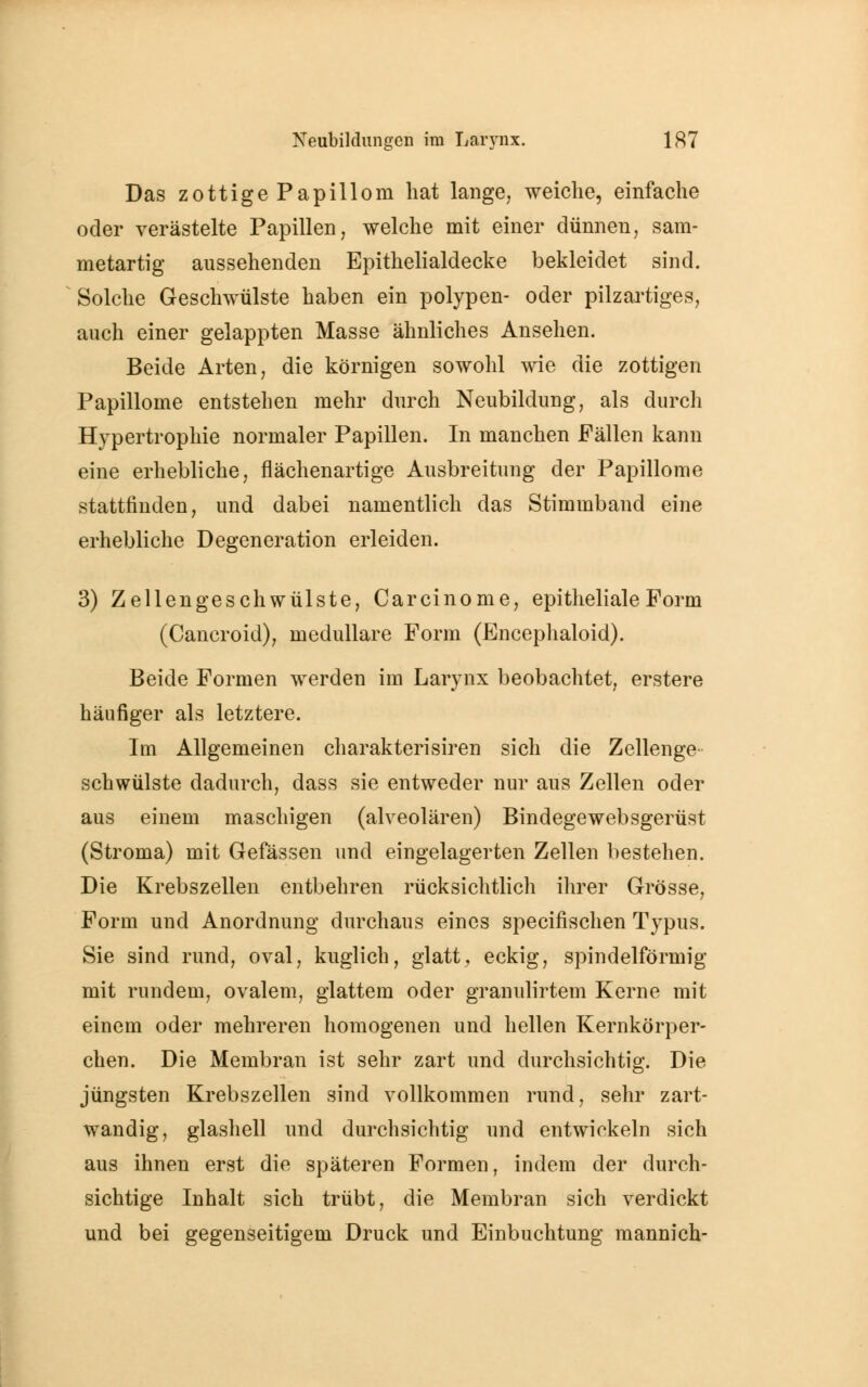 Das zottigePapillom hat lange, weiche, einfache oder verästelte Papillen, welche mit einer dünnen, sam- metartig aussehenden Epithelialdecke bekleidet sind. Solche Geschwülste haben ein polypen- oder pilzartiges, auch einer gelappten Masse ähnliches Ansehen. Beide Arten, die körnigen sowohl wie die zottigen Papillome entstehen mehr durch Neubildung, als durch Hypertrophie normaler Papillen. In manchen Fällen kann eine erhebliche, flächenartige Ausbreitung der Papillome stattfinden, und dabei namentlich das Stimmband eine erhebliche Degeneration erleiden. 3) Zellengeschwülste, Carcinome, epitheliale Form (Cancroid), medulläre Form (Encephaloid). Beide Formen werden im Larynx beobachtet, erstere häufiger als letztere. Im Allgemeinen charakterisiren sich die Zellenge schwülste dadurch, dass sie entweder nur aus Zellen oder aus einem maschigen (alveolären) Bindegewebsgerüst (Stroma) mit Gefässen und eingelagerten Zellen bestehen. Die Krebszellen entbehren rücksichtlich ihrer Grösse, Form und Anordnung durchaus eines specifischen Typus. Sie sind rund, oval, kuglich, glatt, eckig, spindelförmig mit rundem, ovalem, glattem oder granulirtem Kerne mit einem oder mehreren homogenen und hellen Kernkörper- ehen. Die Membran ist sehr zart und durchsichtig. Die jüngsten Krebszellen sind vollkommen rund, sehr zart- wandig, glashell und durchsichtig und entwickeln sich aus ihnen erst die späteren Formen, indem der durch- sichtige Inhalt sich trübt, die Membran sich verdickt und bei gegenseitigem Druck und Einbuchtung mannich-
