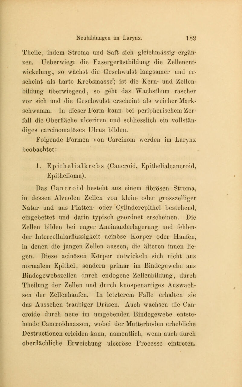 Theile, indem Stroma und Saft sich gleichmässig ergän- zen. Ueberwicgt die Fasergerüstbildung die Zellencnt- wickelung, so wächst die Geschwulst langsamer und er- scheint als harte Krebsmassef; ist die Kern- und Zellen- bildung überwiegend, so geht das Wachsthum rascher vor sich und die Geschwulst erscheint als weicher Mark- schwainm. In dieser Form kann bei peripherischem Zer- fall die Oberfläche ulceriren und schliesslich ein vollstän- diges carcinomatöses Ulcus bilden. Folgende Formen von Carcinom werden im Larynx beobachtet: 1. Epithelialkrebs (Cancroid, Epithelialcancroid, Epithelioma). Das Cancroid bestellt aus einem fibrösen Stroma, in dessen Alveolen Zellen von klein- oder grosszelliger Natur und aus Platten- oder Cylinderepithel bestehend, eingebettet und darin typisch geordnet erscheinen. Die Zellen bilden bei enger Aneinanderlagerung und fehlen- der Intercellularflüssigkeit acinöse Körper oder Haufen, in denen die jungen Zellen aussen, die älteren innen lie- gen. Diese acinösen Körper entwickeln sich nicht aus normalem Epithel, sondern primär im Bindegewebe aus Bindegcwebszellen dnrch endogene Zellenbildung, durch Theilung der Zellen und durch knospenartiges Auswach- sen der Zellenhaufen. In letzterem Falle erhalten sie das Aussehen traubiger Drüsen. Auch wachsen die Can- croide durch neue im umgebenden Bindegewebe entste- hende Cancroidmassen, wobei der Mutterboden erhebliche Destructionen erleiden kann, namentlich, wenn auch durch oberflächliche Erweichung ulccröse Processe eintreten.