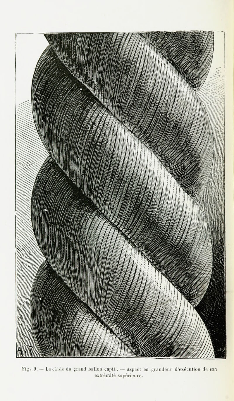 Fig. 9.— Le cal.1«- du grand bullon captif.— Aspect en grandeui d'exécution de son extrémité supérieure.