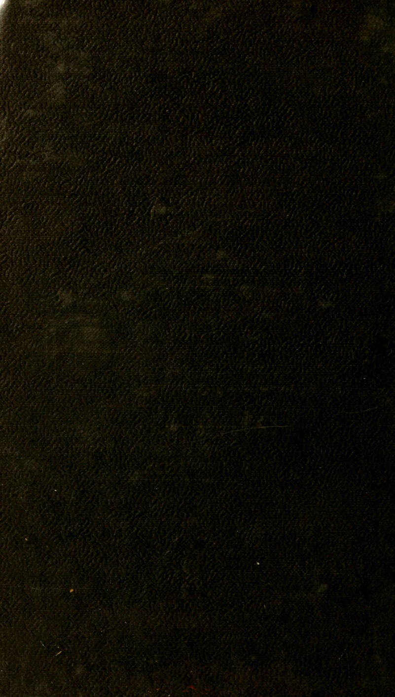 BHBBH«__ 3 V '•'- ' :/■ I ,■/'. vr;.Y»v.':;>.:-.