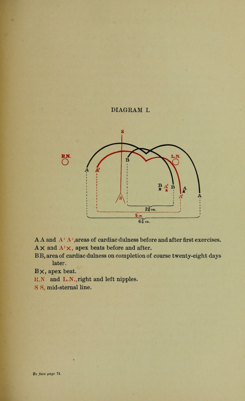 o A A' 65- IN. A A and A' A' .areas of cardiac dulness before and after first exercises. A X and A' x, apex beats before and after. BB, area of cardiac dulness on completion of course twenty-eight days later. B x, apex beat. K.N and L.N..right and left nipples. S S, mid-sternal line.