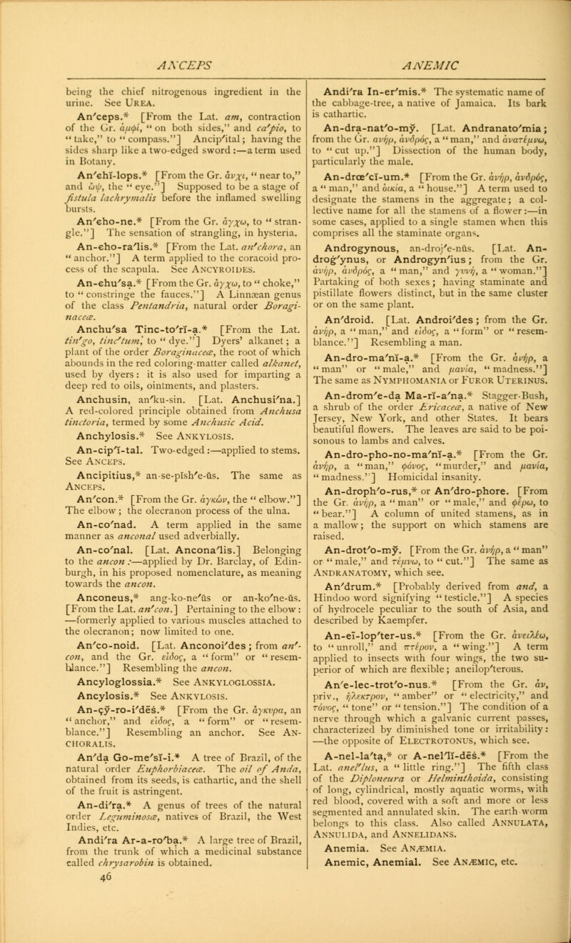 ANCEPS ANEMIC being the chief nitrogenous ingredient in the urine. See Urea. An'ceps.* [From the Lat. am, contraction of the (Jr. aptyi,  on both sides, and ca'pio, to  take, to  compass.] Ancip'ital; having the sides sharp like a two-edged sword :—a term used in Botany. An'ehi-lops.* [From the Gr. clvxl,  near to, and Stiff, the  eye.] Supposed to be a stage of fistula lachrymalis before the inflamed swelling bursts. An'eho-ne.* [From the Gr. ayxo>, to  stran- gle.] The sensation of strangling, in hysteria. An-eho-ra'lis.* [From the Lat. an'chora, an  anchor.] A term applied to the coracoid pro- cess of the scapula. See Ancyroides. An-ehu'sa.* [From the Gr. ayx^, to  choke, to  constringe the fauces.] A Linnoean genus of the class Pentandria, natural order Boragi- nacecz. Anchu'sa Tinc-to'ri-a.* [From the Lat. tin'go, line*turn', to  dye.] Dyers' alkanet; a plant of the order Boraginacece, the root of which abounds in the red coloring-matter called alkanet, used by dyers : it is also used for imparting a deep red to oils, ointments, and plasters. Anchusin, an'ku-sin. [Lat. AnchusFna.] A red-colored principle obtained from Anchusa tinctoria, termed by some Anchusic Acid. Anchylosis.* See Ankylosis. An-cipl-tal. Two-edged :—applied to stems. See Anceps. Ancipitius,* an-se-pish'e-us. The same as Anceps. An'con.* [From the Gr. aynuv, the  elbow.] The elbow ; the olecranon process of the ulna. An-co'nad. A term applied in the same manner as anconal used adverbially. An-co'nal. [Lat. Ancona'lis.] Belonging to the ancon :—applied by Dr. Barclay, of Edin- burgh, in his proposed nomenclature, as meaning towards the ancon. Anconeus,* ang-ko-ne'us or an-ko'ne-us. [From the Lat. an'con.~\ Pertaining to the elbow : —formerly applied to various muscles attached to the olecranon; now limited to one. An'co-noid. [Lat. AnconoFdes ; from an'- con, and the Gr. eidoc;, a  form or  resem- blance.] Resembling the ancon. Ancyloglossia.* See Ankyloglossia. Ancylosis.* See Ankylosis. An-cJr-ro-Fdes.* [From the Gr. aynvpa, an anchor, and elSog, a form or resem- blance.] Resembling an anchor. See An- CHORALIS. An'da Go-me'sT-i.* A tree of Brazil, of the natural order Euphorbiacea. The oil of Anda, obtained from its seeds, is cathartic, and the shell of the fruit is astringent. An-dFra.* A genus of trees of the natural order Legiuninosiz, natives of Brazil, the West Indies, etc. AndFra Ar-a-ro'ba.* A large tree of Brazil, from the trunk of which a medicinal substance called chrysarobin is obtained. 46 AndFra In-er'mis.* The systematic name of the cabbage-tree, a native of Jamaica. Its bark is cathartic. An-dra-nat'o-my. [Lat. Andranato'mia; from the Gr. avr/p, avdpog, a  man, and avarepvu, to cut up.] Dissection of the human body, particularly the male. An-drce'ci-um.* [From the Gr. avf}p, av6p6q, a  man, and binla, a  house.] A term used to designate the stamens in the aggregate; a col- lective name for all the stamens of a flower:—in some cases, applied to a single stamen when this comprises all the staminate organs. Androgynous, an-droj'e-nus. [Lat. An- drog'ynus, or Androgynous; from the Gr. avr)p, avdpoq, a man, and ywr), a. woman.] Partaking of both sexes ; having staminate and pistillate flowers distinct, but in the same cluster or on the same plant. An'droid. [Lat. AndroFdes; from the Gr. hvrjp, a man, and tidoq, a form or resem- blance.] Resembling a man. An-dro-ma'ni-a.* [From the Gr. avf)p, a man or male, and pavia, madness.] The same as Nymphomania or Furor Uterinus. An-drom'e-da Ma-ri-a'na.* Stagger-Bush, a shrub of the order Ericaceae, a native of New Jersey, New York, and other States. It bears beautiful flowers. The leaves are said to be poi- sonous to lambs and calves. An-dro-pho-no-ma'nT-a.* [From the Gr. avr]p, a man, (povog, murder, and pavia, madness.'] Homicidal insanity. An-dropb/o-rus,* or An'dro-phore. [From the Gr. avijp, a man or male, and <ptpu, to bear.] A column of united stamens, as in a mallow; the support on which stamens are raised. An-drot'o-my. [From the Gr. avr)p, a  man or  male, and ripvu, to  cut.] The same as Andranatomy, which see. An'drum.* [Probably derived from and, a Hindoo word signifying testicle.] A species of hydrocele peculiar to the south of Asia, and described by Kaempfer. An-el-lop'ter-us.* [From the Gr. aveiTiiu, to unroll, and irrepov, a wing.] A term applied to insects with four wings, the two su- perior of which are flexible; aneilop'terous. An'e-lec-trof'o-nus.* [From the Gr. av, priv., Tjlenrpov, amber or electricity, and rovog,  tone or  tension.] The condition of a nerve through which a galvanic current passes, characterized by diminished tone or irritability: —the opposite of Electrotonus, which see. A-nel-la'ta,* or A-neFl!-des.* [From the Lat. anel'lus, a  little ring.] The fifth class of the Diploneu7-a or Helminthoida, consisting of long, cylindrical, mostly aquatic worms, with red blood, covered with a soft and more or less segmented and annulated skin. The earth-worm belongs to this class. Also called Annulata, Annulida, and Annelidans. Anemia. See Anvemia. Anemic, Anemial. See Anaemic, etc.