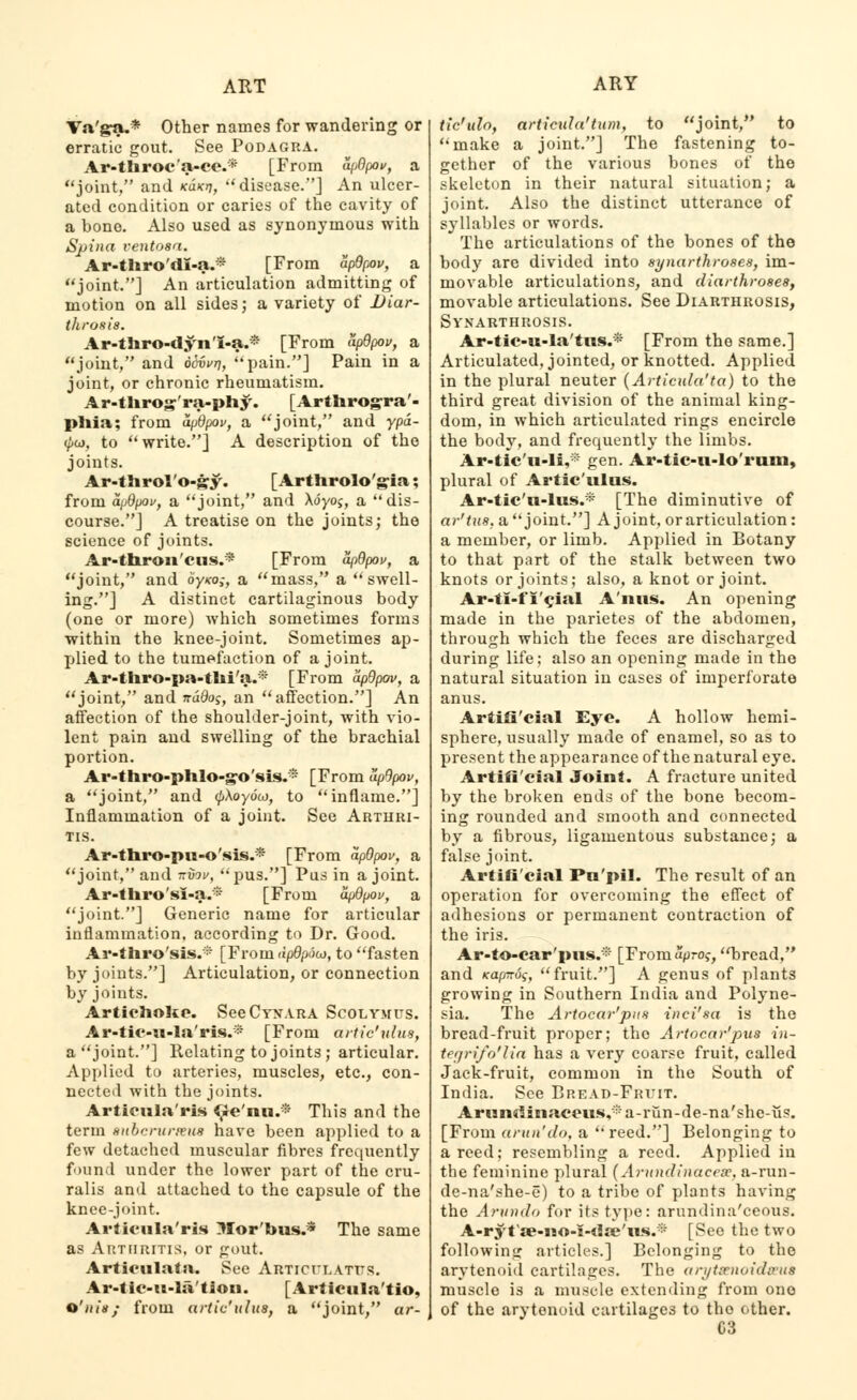 Va'g-a.* Other names for wandering or erratic gout. See Podagra. Ar-throc'a-cc* [From apOpov, a joint, and kukt], disease.] An ulcer- ated condition or caries of the cavity of a bone. Also used as synonymous with Spina rento8a. Ar-thro'<li-a.* [From apdpov, a joint.] An articulation admitting of motion on all sides; a variety of Diar- throeia. Ar-tliro-dyn'I-a.* [From apQpov, a joint, and bbx>vr\, pain.] Pain in a joint, or chronic rheumatism. Ar-tlirojy'ra-ph$r. [Arthrogra'- pliia; from apdpov, a joint, and ypa- <£a>, to write.] A description of the joints. Ar-throl'o-gy. [Arthrolo'gia; from apdpov, a joint, and Adyoj, a dis- course.] A treatise on the joints; the science of joints. Ar-thron'cus.* [From apOpov, a joint, and dy/co,-, a mass, a swell- ing.] A distinct cartilaginous body (one or more) which sometimes forms within the knee-joint. Sometimes ap- plied to the tumefaction of a joint. Ar-thro-pa-tlii'a.* [From apdpov, a joint, and ttuOoj, an affection.] An affection of the shoulder-joint, with vio- lent pain and swelling of the brachial portion. Ar-thro-phlo-g-o'sis.* [From apdpov, a joint, and </>Aoydw, to inflame.] Inflammation of a joint. See Arthri- tis. Ar-thro-pu-o'sis.* [From apdpov, a joint, and -nvov, pus.] Pus in a joint. Ar-thro'si-a.* [From apdpov, a joint.] Generic name for articular inflammation, according to Dr. Good. Ar-tliro'sis.* [From dpdpdio, to fasten by joints.] Articulation, or connection by joints. Artichoke. SeeCYNARA Scolymcs. Ar-tic-u-la'ris.* [From artic'ulus, a joint.] Relating to joints ; articular. Applied to arteries, muscles, etc., con- nected with the joints. Articula'ris ^Je'nn.* This and the term Hnbcrurxus have been applied to a few detached muscular fibres frequently found under the lower part of the cru- ralis and attached to the capsule of the knee-joint. Articula'ris Morbus.' The same as Arthritis, or gout. Articulata. See ABTICULATUS. Ar-tie-u-la'tioii. [Articula'tio, o'iu's; from artic'ulus, a joint, ar- tic'ulo, articula'tum, to joint, to make a joint.] The fastening to- gether of the various bones of the skeleton in their natural situation; a joint. Also the distinct utterance of syllables or words. The articulations of the bones of the body are divided into synarthroses, im- movable articulations, and diarthroses, movable articulations. See Diarthrosis, Synarthrosis. Ar-tic-u-la'tns.* [From the same.] Articulated, jointed, or knotted. Applied in the plural neuter (Articula'ta) to the third great division of the animal king- dom, in which articulated rings encircle the body, and frequently the limbs. Ar-tic'u-li,:|f gen. Ar-tic-u-lo'rum, plural of Artic'ulus. Ar-tic'u-lus.* [The diminutive of ar'tus. a joint.] A joint, or articulation : a member, or limb. Applied in Botany to that part of the stalk between two knots or joints; also, a knot or joint. Ar-ti-f I Vial An us. An opening made in the parietes of the abdomen, through which the feces are discharged during life; also an opening made in the natural situation in cases of imperforate anus. Artificial Eye. A hollow hemi- sphere, usually made of enamel, so as to present the appearance of the natural eye. Artifi'cial Joint. A fracture united by the broken ends of the bone becom- ing rounded and smooth and connected by a fibrous, ligamentous substance; a false joint. Artifi'cial Pu'pil. The result of an operation for overcoming the effect of adhesions or permanent contraction of the iris. Ar-to-car'pus.* [Fromapro?, bread, and Kaphas, fruit.] A genus of plants growing in Southern India and Polyne- sia. The Artocar'pns inci'sa is the bread-fruit proper; the Artocar'pns in- tegrifo'lia has a very coarse fruit, called Jack-fruit, common in the South of India. See Bread-Fruit. Arundinaccus,-:'a-run-(le-na'she-us. [From arun'do, a  reed.] Belonging to a reed; resembling a reed. Applied in the feminine plural (Amndinacese, a-run- de-na'she-e) to a tribe of plants having the Arundo for its type: arundina'ceous. A-ryt'se-no-i-daj'us.* [See the two following articles.] Belonging to the arytenoid cartilages. The arytsenoidmu muscle is a muscle extending from one of the arytenoid cartilages to the other.
