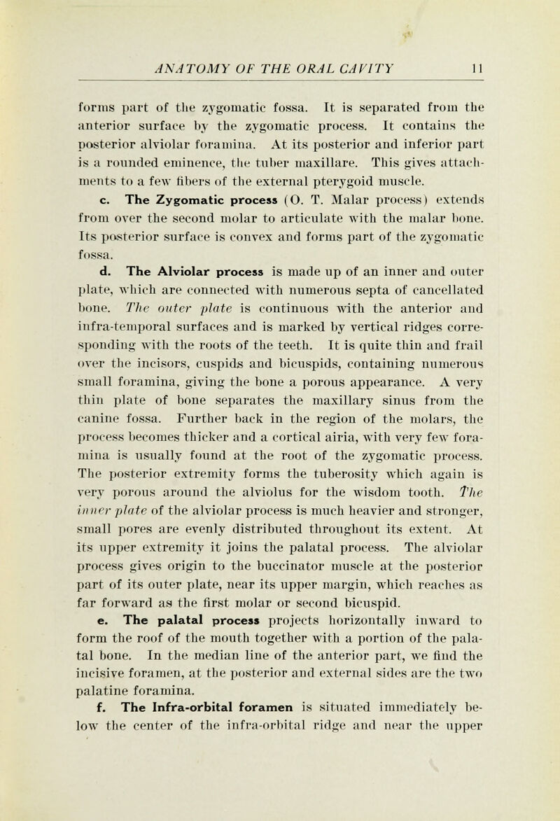 •s*' ANATOMY OF THE ORAL CANITY 11 forms part of the zygomatic fossa. It is separated from the anterior surface by the zygomatic process. It contains the posterior alviolar foramina. At its posterior and inferior part is a rounded eminence, the tnber maxillare. This gives attach- ments to a few fibers of the external pterygoid muscle. c. The Zygomatic process (O. T. Malar process) extends from over the second molar to articulate with the malar bone. Its posterior surface is convex and forms part of the zygomatic fossa. d. The Alviolar process is made up of an inner and outer plate, which are connected with numerous septa of cancellated bone. The outer jilate is continuous with the anterior and infra-temporal surfaces and is marked by vertical ridges corre- sponding with the roots of the teeth. It is quite thin and frail over the incisors, cuspids and bicuspids, containing numerous small foramina, giving the bone a porous appearance. A very thin plate of bone separates the maxillary sinus from the canine fossa. Further back in the region of the molars, the process becomes thicker and a cortical airia, with very few fora- mina is usually found at the root of the zygomatic process. The posterior extremity forms the tuberosity which again is very porous around the alviolus for the wisdom tooth. The inner plate of the alviolar process is much heavier and stronger, small pores are evenly distributed throughout its extent. At its upper extremity it joins the palatal process. The alviolar process gives origin to the buccinator muscle at the posterior part of its outer plate, near its upper margin, which reaches as far forward as the first molar or second bicuspid. e. The palatal process projects horizontally inward to form the roof of the mouth together with a portion of the pala- tal bone. In the median line of the anterior part, we find the incisive foramen, at the posterior and external sides are the two palatine foramina. f. The Infra-orbital foramen is situated immediately be- low the center of the infra-orbital ridge and near the upper