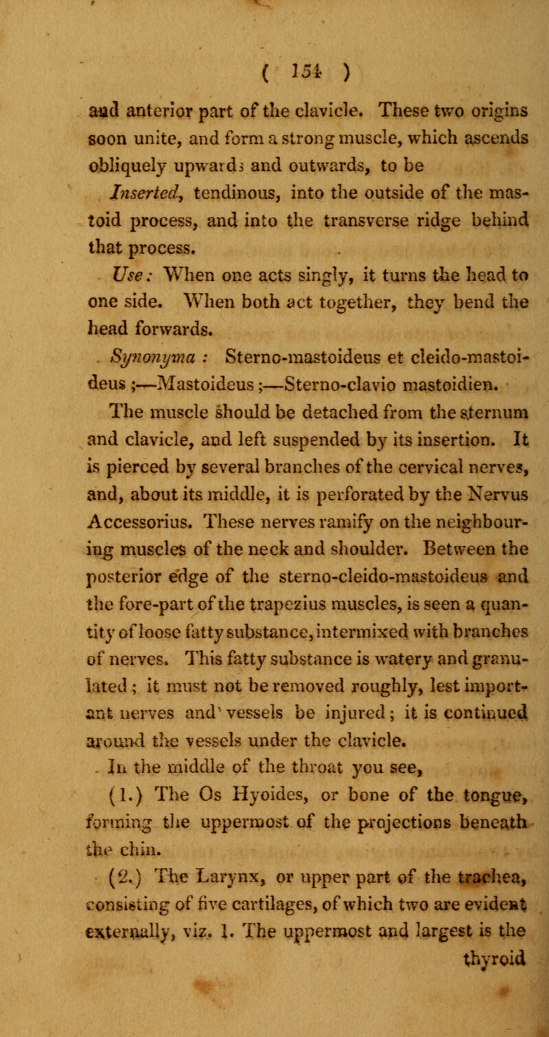 aad anterior part of the clavicle. These two origins soon unite, and form a strong muscle, which ascends obliquely upwards and outwards, to be Inserted, tendinous, into the outside of the mas- toid process, and into the transverse ridge behind that process. Use: When one acts singly, it turns the head to one side. When both act together, they bend the head forwards. . Synonyma : Sterno-mastoideus et cleido-mastoi- deus ;—Mastoideus;—Sterno-clavio mastoidien. The muscle should be detached from the sternum and clavicle, and left suspended by its insertion. It is pierced by several branches of the cervical nerves, and, about its middle, it is perforated by the Nervus Accessorius. These nerves ramify on the neighbour- ing muscles of the neck and shoulder. Between the posterior edge of the sterno-cleido-mastoideus and the fore-part of the trapezius muscles, is seen a quan- tity of loose fatty substance, intermixed with branches of nerves. This fatty substance is watery and granu- lated ; it must not be removed roughly, lest import- ant nerves and' vessels be injured ; it is continued around the vessels under the clavicle. In the middle of the throat you see, (1.) The Os Hyoides, or bone of the tongue, forming the uppermost of the projections beneath the chin. (2.) The Larynx, or upper part of the trachea, consisting of five cartilages, of which two are evident externally, viz.. 1. The uppermost and largest is the thyroid