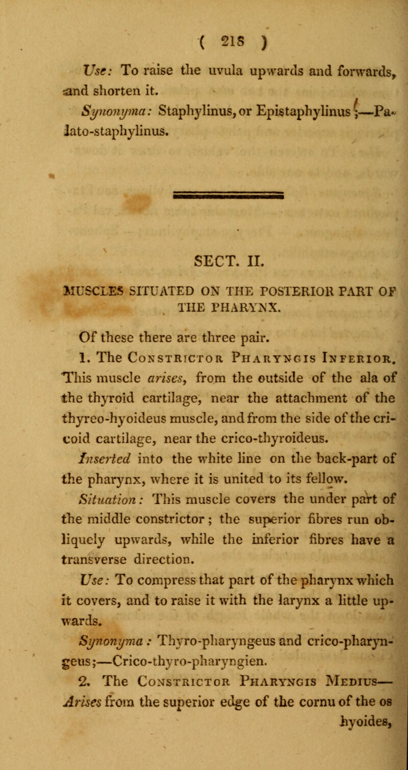 Use: To raise the uvula upwards and forwards, :and shorten it. Synonyma: Staphylinus, or Epistaphylinus ;—Pa- Jato-staphylinus. SECT. II. MUSCLES SITUATED ON THE POSTERIOR PART OF THE PHARYNX. Of these there are three pair. 1. The Constrictor Pharyngis Inferior. This muscle arises, from the outside of the ala of the thyroid cartilage, near the attachment of the thyreo-hyoideus muscle, and from the side of the cri- coid cartilage, near the crico-thyroideus. Inserted into the white line on the back-part of the pharynx, where it is united to its fellow. Situation: This muscle covers the under part of the middle constrictor; the superior fibres run ob- liquely upwards, while the inferior fibres have a transverse direction. Use: To compress that part of the pharynx which it covers, and to raise it with the larynx a little up- wards. Synonyma : Thvro-pharyngeus and crico-pharyn- geus;—Crico-thyro-pharyngien. 2. The Constrictor Pharyngis Medius— Arises from the superior edge of the cornu of the os Iryoides,