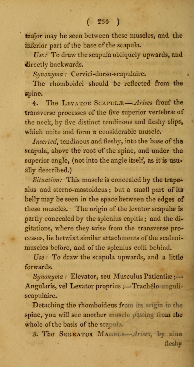 major may be seen between these muscles, and the inferior part of the base of the scapula. Use: To draw the scapula obliquely upwards, and directly backwards. Synonyma: Cervici-dorso-scapulaire. The rhomboidei should be reflected from the spine. 4. The Levator ScapuuB—-Arises from* the transverse processes of the five superior vertebrae of the neck, by five distinct tendinous and fleshy slips, which unite and form a considerable muscle. Inserted^ tendinous and fleshy, into the base of the scapula, above the root of the spine, and under the superior angle, (not into the angle itself, as it is usu- ally described.) Situation: This muscle is concealed by the trape- zius and sterno-mastoideus ; but a small part of its belly may be seen in the space between the edges of these muscles. The origin of the levator scapulae is partly concealed by the splenius capitis ; and the di- gitations, where they arise from the transverse pro- cesses, lie betwixt similar attachments of the scaleni- muscles before, and of the splenius colli behind. Use: To draw the scapula upwards, and a little forwards. Synonyma : Elevator, seu Musculus Patientiae;— Angularis, vel Levator proprius ;—Trachelo-anguli- scapulaire. Detaching the rhomboideus from its origin in the spine, you will see another muscle pa. no the whole of the basis of the sea 5. The Seuratus Magw -- *Aristst by nine fleshy