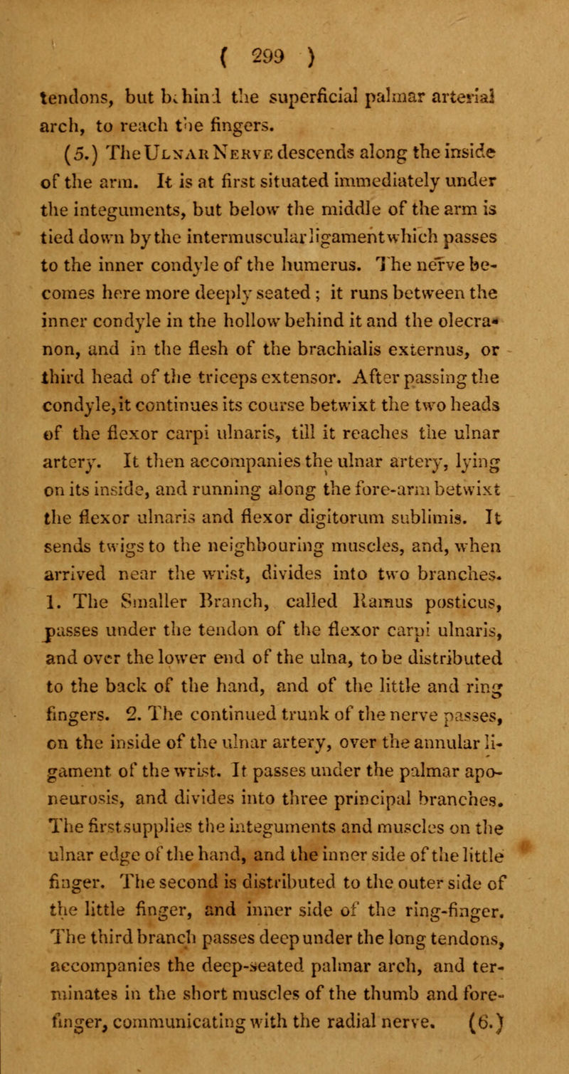 tendons, but Ik hind the superficial palmar arterial arch, to reach the ringers. (5.) The Ulnar Nerve descends along the inside of the arm. It is at first situated immediately under the integuments, but below the middle of the arm is tied down by the intermuscular ligament which passes to the inner condyle of the humerus. The nerve be- comes here more deeply seated ; it runs between the inner condyle in the hollow behind it and the olecra- non, and in the flesh of the brachialis externus, or third head of the triceps extensor. After passing the condyle,it continues its course betwixt the two heads of the flexor carpi ulnaris, till it reaches the ulnar artery. It then accompanies the ulnar artery, lying on its inside, and running along the fore-arm betwixt the flexor ulnaris and flexor digitorum sublimis. It sends twigs to the neighbouring muscles, and, when arrived near the wrist, divides into two branches. 1. The Smaller Branch, called Ramus posticus, passes under the tendon of the flexor carpi ulnaris, and over the lower end of the ulna, to be distributed to the back of the hand, and of the little and ring fingers. 2. The continued trunk of the nerve passes, en the inside of the ulnar artery, over the annular li- gament of the wrist. It passes under the palmar apo- neurosis, and divides into three principal branches. The firstsupplies the integuments and muscles on the ulnar edge of the hand, and the inner side of the little finger. The second is distributed to the outer side of the little finger, and inner side of the ring-finger. The third branch passes deep under the long tendons, accompanies the deep-seated palmar arch, and ter- minates in the short muscles of the thumb and fore- finger, communicating with the radial nerve. (6.)