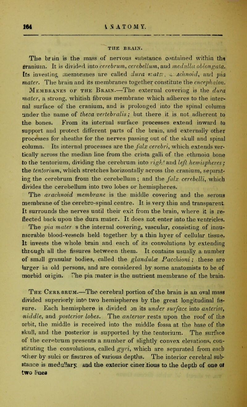 194 I N A T 0 M Y. THE BRAIN. The briin is the mass of nervous substance contained within thu Sraniuin. It is divided into cerebrum, cerebellum, and medulla oblongata. Its investing membranes are called dura v.atst, a jclmoid, and pia mater. The brain and its membranes together constitute the encephalon, Membranes of the Brain.—The external covering is the dura mater, a strong, whitish fibrous membrane which adheres to the inter- nal surface of the cranium, and is prolonged into the spinal column under the name of theea vertebralis; but there it is not adherent to the bones. From its internal surface processes extend inward to support and protect different parts of the brain, and externally other processes for sheaths for the nerves passing out of the skull and spinal column. Its internal processes are the falx cerebri, which extends ver- tically across the median line from the crista galli of the ethmoid bone to the tentorium, dividing the cerebrum into right and left hemispheres ; the tentorium, which stretches horizontally across the cranium, separat- ing the cerebrum from the cerebellum ; and the falx cerebelli, which divides the cerebellum into two lobes or hemispheres. The arachnoid membrane is the middle covering and the serous membrane of the cerebro-spinal centre. It is very thin and transparent It surrounds the nerves until their exit from the brain, where it is re- flected back upon the dura mater. It does not enter into the ventricles. The pia mater s the internal covering, vascular, consisting of innu- merable blood-vessels held together by a thin layer of cellular tissue. It invests the whole brain and each of its convolutions by extending thiough all the fissures between them. It contains usually a number of small granular bodies, called the glandular Pacchioni; these are larger in old persons, and are considered by some anatomists to be of morbid oiigin. The pia mater is the nutrient membrane of the brain. The Cerebrum.—The cerebral portion of the brain is an oval mass divided superiorly intri two hemispheres by the great longitudinal fis- pure. Each hemisphere is divided on its under surface into anterior, middle, and posterior lobes. The anterior rests upon the roof of the Dibit, the middle is received into the middle fossa at the base of the skull, and the posterior is supported by the tentorium. The surface of the cerebrum presents a number of slightly convex elevations, con- stituting the convolutions, called gyri, which are separated from each other by sulci or fissures of various depths. The interior cerebia! sub- stance is medullary, and the exterior ciner.tious to the depth of one 01 two liuea