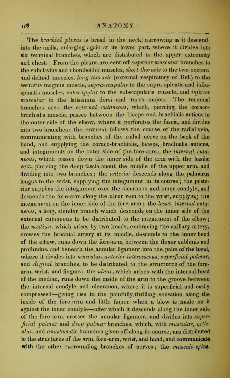The brachial plums is bread in the neck, narrowing as it descend into the axilla, enlarging again at its lower part, where it divides into six terminal branches, which are distributed to tire upper extremity and chest. From the plexus are sent off superior muscaittr branches tn the subclavius and rhomboidei muscles, short thoracic to the two pectora and deltoid muscles, Long thoracic (external respiratory of Bell) to the oerratus magnus muscle, supra-scapular to the supra-spinatis and infra- epinatis muscles, subscapular to the subscapularis muscle, and inferior muscular to the latissimus doisi and teres major. The terminal branches are: the external cutaneous, which, piercing the coraco- brachial'^ muscle, passes between the biceps and brachials anticus to the outer side of the elbow, where it perforates the fascia, and divides into two branches; the external follows the course of the radial vein, communicating with branches of the radial nerve on the back of the hand, and supplying the coraco-brachialis, biceps, brachialis anticus, and integuments on the outer side of }he fore-arm; the internal cuta- neous, which passes down the inner side of the aim with the basilic vein, piercing the deep fascia about the middle of the upper arm, and dividing into two branches; the anterior descends along the palmarus longus to the wrist, supplying the integument in its course; the poste- rior supplies the integument over the olecranon and inner condyle, and desceuds the fore-arm along the ulnar vein to the wrist, supplying the integument on the inner side of the fore-arm ; the lesser internal cuta- neous, a long, slender branch which descends on the inner side of the external cutaneous to be distributed to the integument of the elbow; the median, which arises by two heads, embracing the axillary artery, crosses the brachial artery at its middle, descends to the inner bend of the elbow, runs down the fore-arm between the flexor sublimis and profundus, and beneath the annular ligament into the palm of the hand, where it divides into muscular, anterior interosseous, superficial palmar, and digital branches, to be distributed to the structures of the fore- arm, wrist, and fingers: the ulnar, which arises with the internal head of the median, runs down the inside of the arm to the groove between the internal condyle and olecranon, where it is superficial and easilj compressed—giving rise to the painfully thrilling sensation along the insids of the fore-arm and little finger when a blow is made on it against the inner condyle—after which it descends along the inner sida of the fore-arm, crosses the annular ligament, and divides into super- fuial palmar and deep palmar branches, which, with muscular, artic- ular, and anastomotic branches given off along its course, are distributed le the structures of the arm, fore-arm, wrist, and hand, and communicate with ihe othet surrounding branches of nerves; the musculo-syir*
