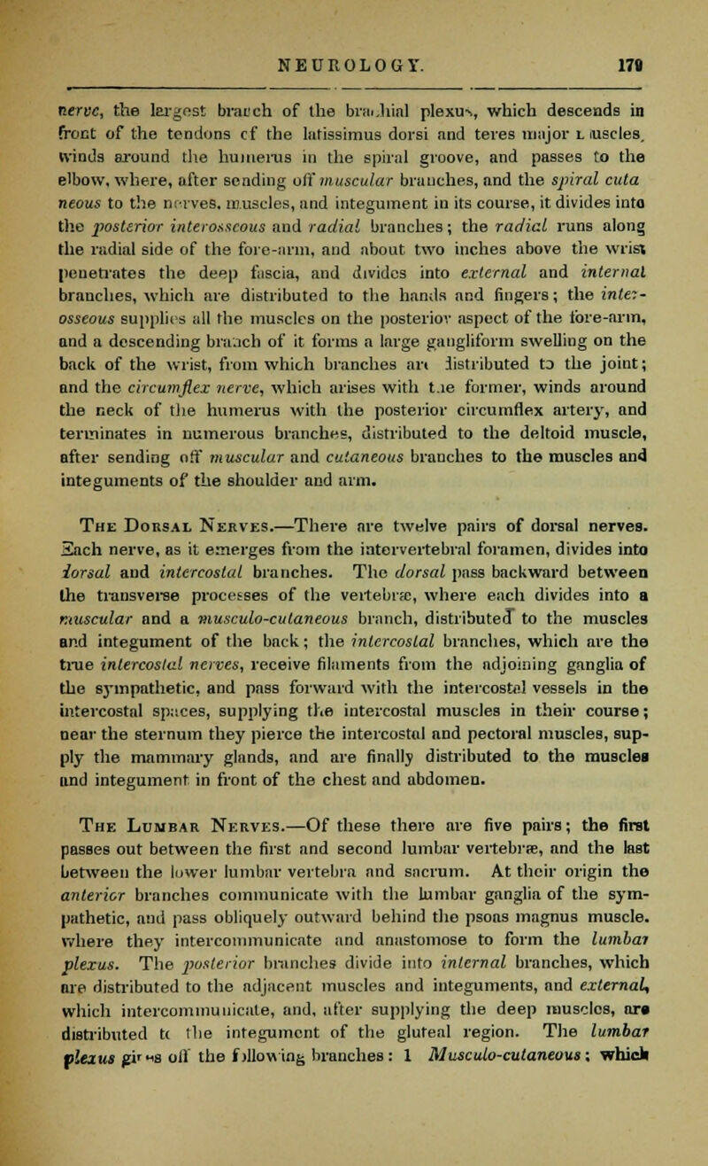 nerve, the largest bracch of the brachial plexu-s, which descends in front of the tendons cf the latissimus dorsi and teres major l luscles. ivinds around tlie humerus in the spiral groove, and passes to the elbow, where, after sending off muscular branches, and the spiral cuta neous to the nerves, muscles, and integument in its course, it divides into the posterior interosseous and radial branches; the radial runs along the radial side of the fore-arm, and about two inches above the wrist penetrates the deep fascia, and divides into external and internal branches, which are distributed to the hands and fingers; the inter- osseous supplies all the muscles on the posterior aspect of the fore-arm, and a descending bra.ich of it forms a large gangliform swelling on the back of the wrist, from which branches art distributed ta the joint; and the circmnfiex -nerve, which arises with tie former, winds around the neck of the humerus with the posterior circumflex artery, and terminates in numerous branches, distributed to the deltoid muscle, after sending off muscular and cutaneous branches to the muscles and integuments of the shoulder and arm. The Dorsal Nerves.—There are twelve pairs of dorsal nerves. Each nerve, as it emerges from the intervertebral foramen, divides into iorsal and intercostal branches. The dorsal pass backward between the transverse processes of the vertebnc, where each divides into a muscular and a musculocutaneous branch, distributed to the muscles and integument of the back; the intercostal branches, which are the true intercostal nerves, receive filaments from the adjoining ganglia of the sympathetic, and pass forward with the intercostal vessels in the intercostal sp::ces, supplying the intercostal muscles in their course; near the sternum they pierce the intercostal and pectoral muscles, sup- ply the mammary glands, and are finally distributed to the muscles lind integument in front of the chest and abdomen. The Lumbar Nerves.—Of these there are five pairs; the first passes out between the first and second lumbar vertebra?, and the last between the lower lumbar vertebra and sacrum. At their origin the anterior branches communicate with the lumbar ganglia of the sym- pathetic, and pass obliquely outward behind the psoas magnus muscle, where they intercommunicate and anastomose to form the lumbal plexus. The posterior branches divide into internal branches, which are distributed to the ndjacent muscles and integuments, and external, which intercommunicate, and, after supplying the deep muscles, ar» distributed tc the integument of the gluteal region. The lumbar plexus p'is oil the following branches: 1 Musculo-cutaneous: which