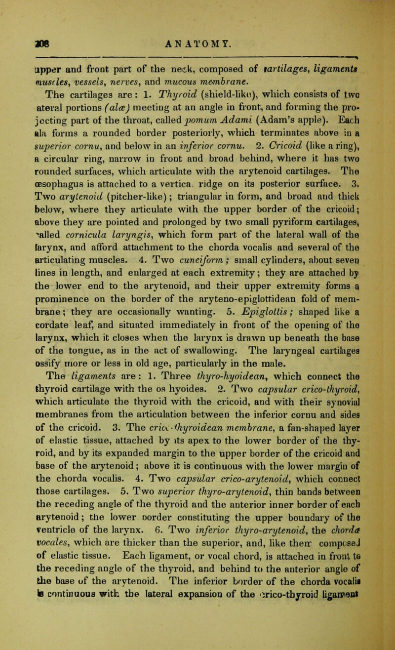 upper and front part of the neck, composed of lartilages, ligaments nusrles, vessels, nerves, and mucous membrane. The cartilages are: 1. Thyroid (shield-like), which consists of two ateral portions (aire) meeting at an angle in front, and forming the pro- jecting part of the throat, called pomum Adami (Adam's apple). Each ala forms a rounded border posteriorly, which terminates above in a superior cornu, and below in an inferior cornu. 2. Cricoid (like a ring), a circular ring, narrow in front and broad behind, where it has two rounded surfaces, which articulate with the arytenoid cartilages. The oesophagus is attached to a vertica. ridge on its posterior surface. 3. Two arytenoid (pitcher-like); triangular in form, and broad and thick below, where they articulate with the upper border of the cricoid; above they are pointed and prolonged by two small pyriform cartilages, -ailed cornicula laryngis, which form part of the lateral wall of the larynx, and afford attachment to the chorda vocalis and several of the articulating muscles. 4. Two cuneiform ; small cylinders, about seven lines in length, and enlarged at each extremity; they are attached by the lower end to the arytenoid, and their upper extremity forms a prominence on the border of the aryteno-epiglotfidean fold of mem- brane ; they are occasionally wanting. 5. Epiglottis; shaped like a cordate leaf, and situated immediately in front of the opening of the larynx, which it closes when the larynx is drawn up beneath the base of the tongue, as in the act of swallowing. The laryngeal cartilages ossify more or less in old age, particularly in the male. The ligaments are: 1. Three thyro-hyoidean, which connect the thyroid cartilage with the os hyoides. 2. Two capsular crico-thyroid, which articulate the thyroid with the cricoid, and with their synovial membranes from the articulation between the inferior cornu and sides of the cricoid. 3. The cric< thyroidcan membrane, a fan-shaped layer of elastic tissue, attached by its apex to the lower border of the thy- roid, and by its expanded margin to the upper border of the cricoid and base of the arytenoid; above it is continuous with the lower margin of the chorda vocalis. 4. Two capsular crico-arytenoid, which connect those cartilages. 5. Two superior thyro-arytenoid, thin bands between the receding angle of the thyroid and the anterior inner border of each arytenoid; the lower norder constituting the upper boundary of the rentricle of the larynx. 6. Two inferior thyro-arytenoid, the chorda vocales, which are thicker than the superior, and, like therr coinpcsej of elastic tissue. Each ligament, or vocal chord, is attached in front to the receding angle of the thyroid, and behind to the anterior anglo of the base uf the arytenoid. The inferior border of the chorda vocalii la continuous with the lateral expansion of the 'irico-thyroid liganranl