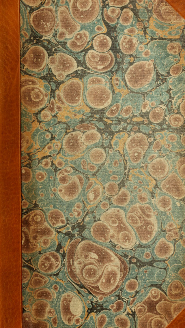 No text description is available for this image