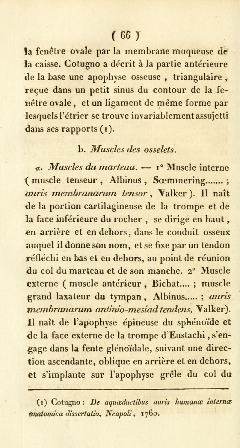 îa fenêtre ovale par la membrane muqueuse de la caisse. Cotugno a de'crit à la partie antérieure de la base une apophyse osseuse , triangulaire f reçue dans un petit sinus du contour de la fe- nêtre ovale, et un ligament de même forme par lesquels Tétrier se trouve invariablement assujetti dans ses rapports (i). b. Muscles des osselets. a. Muscles du marteau. — i° Muscle interne ( muscle tenseur , Àlbinus , Sœmmering ; auris membranarum tensor, Valker ). Il naît de la portion cartilagineuse de la trompe et de la face inférieure du rocher , se dirige en haut r en arrière et en dehors, dans le conduit osseux auquel il donne son nom, et se fixe par un tendon réfléchi en bas et en dehors, au point de réunion du col du marteau et de son manche. 2° Muscle externe ( muscle antérieur , Bichat.... ; muscle grand laxateur du tympan , Albinus ; auris mcmbranarum antinio-mesiad tendens, Valker). Il naît de l'apophyse épineuse du sphénoïde et de la face externe de la trompe d'Eustachi, s'en- gage dans la fente glénoïdale, suivant une direc- tion ascendante, oblique en arrière et en dehors, et s'implante sur l'apophyse grêle du col du (i) Cotugno : De aquœduclibus auris humanœ internœ nnatomica dissertation Neapoli, 1760.