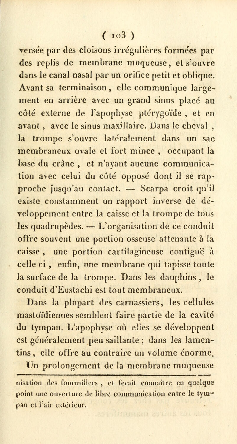 versée par des cloisons irrégulières forme'es par des replis de membrane muqueuse, et s'ouvre dans le canal nasal par un orifice petit et oblique. Avant sa terminaison, elle communique large- ment en arrière avec un grand sinus placé au côté externe de l'apophyse ptérygoïde , et en avant, avec le sinus maxillaire. Dans le cheval , la trompe s'ouvre latéralement dans un sac membraneux ovale et fort mince , occupant la base du crâne , et n'ayant aucune communica- tion avec celui du côté opposé dont il se rap- proche jusqu'au contact. — Scarpa croit qu'il existe constamment un rapport inverse de dé- veloppement entre la caisse et la trompe de tous les quadrupèdes. — L'organisation de ce conduit offre souvent une portion osseuse attenante à la caisse , une portion cartilagineuse contigue* à celle ci , enfin, une membrane qui tapisse toute la surface de la trompe. Dans les dauphins , le conduit d'Eustachi est tout membraneux. Dans la plupart des carnassiers, les cellules mastoïdiennes semblent faire partie de la cavité du tympan. L'apophyse où elles se développent est généralement peu saillante ; dans les lamen- tins, elle offre au contraire un volume énorme. Un prolongement de la membrane muqueuse nisation des fourmiliers , el ferait connaître en quelque point une ouverture de libre communication entre le tym- pan et l'air extérieur.