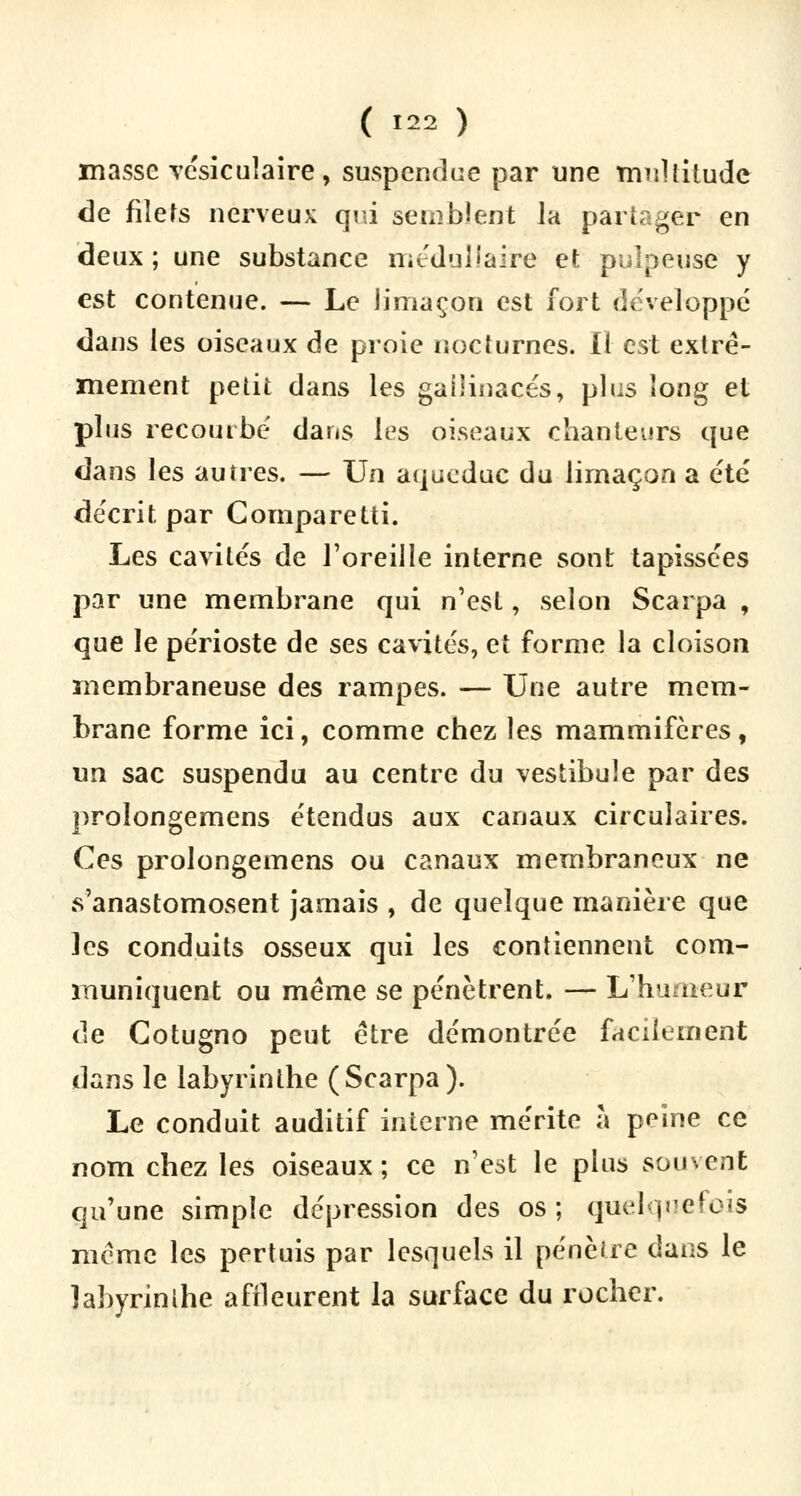 masse vésicuîaire, suspendue par une multitude de filets nerveux qui semblent la partager en deux ; une substance médullaire et pulpeuse y est contenue. — Le limaçon est Fort développé dans les oiseaux de proie nocturnes. Il est extrê- mement petit dans les gallinacés, plus long et plus recourbé dans les oiseaux chanteurs que dans les autres. — Un aqueduc du limaçon a été décrit par Comparetti. Les cavités de l'oreille interne sont tapissées par une membrane qui n'est, selon Scarpa , que le périoste de ses cavités, et forme la cloison membraneuse des rampes. — Une autre mem- brane forme ici, comme chez les mammifères, un sac suspendu au centre du vestibule par àes prolongemens étendus aux canaux circulaires. Ces prolongemens ou canaux membraneux ne s'anastomosent jamais , de quelque manière que les conduits osseux qui les contiennent com- muniquent ou même se pénètrent. — L'humeur de Cotugno peut être démontrée facilement dans le labyrinthe (Scarpa). Le conduit auditif interne mérite à peine ce nom chez les oiseaux ; ce n'est le plus souvent qu'une simple dépression des os ; quelquefois même les pertuis par lesquels il pénètre dans le labyrinthe affleurent la surface du rocher.