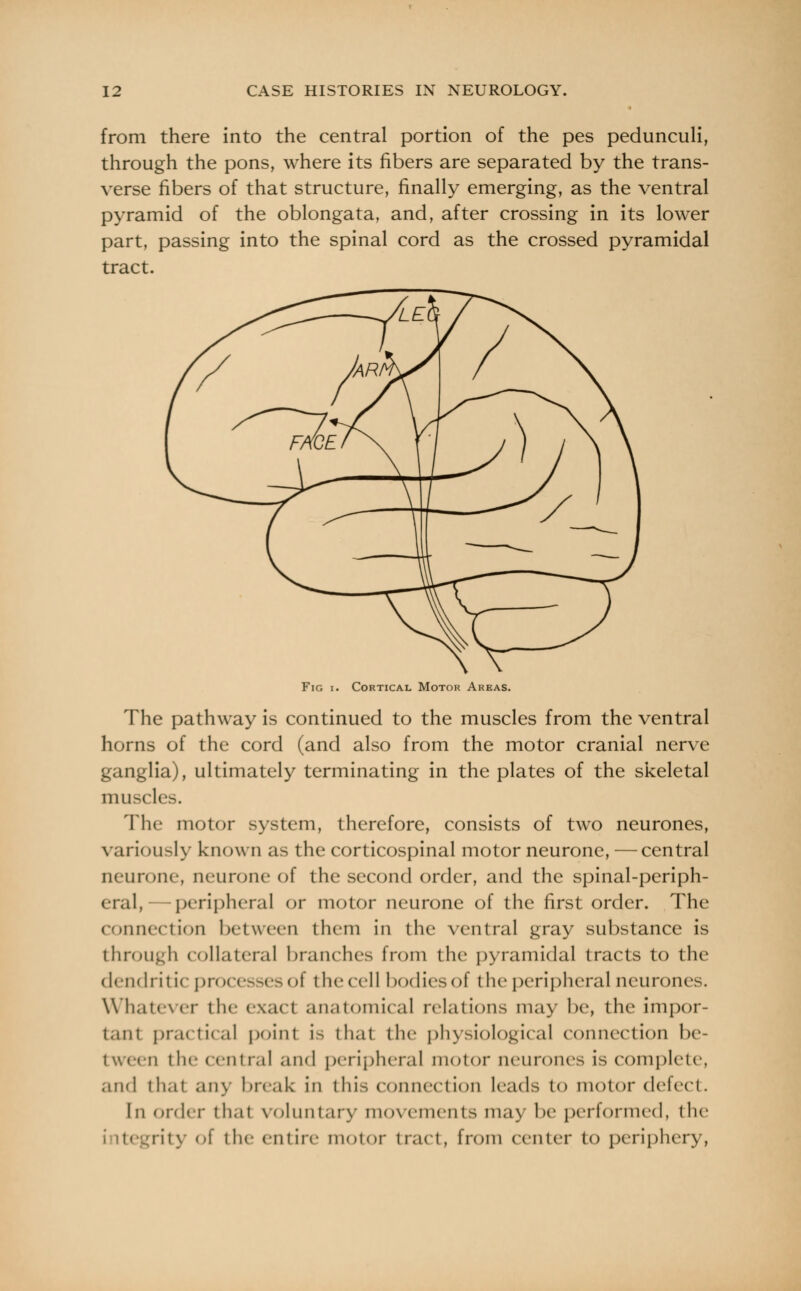 from there into the central portion of the pes pedunculi, through the pons, where its fibers are separated by the trans- verse fibers of that structure, finally emerging, as the ventral pyramid of the oblongata, and, after crossing in its lower part, passing into the spinal cord as the crossed pyramidal tract. Fig i. Cortical Motor Areas. The pathway is continued to the muscles from the ventral horns of the cord (and also from the motor cranial nerve ganglia), ultimately terminating in the plates of the skeletal muscles. The motor system, therefore, consists of two neurones, variously known as the corticospinal motor neurone, —central neurone, neurone of the second order, and the spinal-periph- eral, peripheral or motor neurone of the first order. The connection between them in the ventral gray substance is through collateral branches from the pyramidal tracts to the dendritic processes of the cell bodies of the peripheral neurones. Whatever the exact anatomical relations may be, the impor- tant practical point is thai the physiological connection be- tween the central and peripheral motor neurones is complete, and thai any break in this connection leads to motor delect. In order th.it voluntary movements may be performed, the v of the entiic motor tract, from center to periphery,