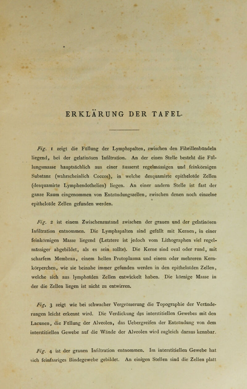 ERKLÄRUNG DER TAFEL- Fig. I zeigt die Füllung der Lymphspalten, zwischen den FibrillenbUndeln liegend, bei der gelatinösen Infiltration. An der einen Stelle besteht die Ful- lungsmasse hauptsächlich aus einer äusserst regelmässigen und feinkörnigen Substanz (wahrscheinlich Coccos), in welche desquamirte epitheloJde Zellen (desquamirte Lymphendothelien) liegen. An einer andern Stelle ist fast der ganze Raum eingenommen von Entzündungszellen, zwischen denen noch einzelne epithelol'de Zellen gefunden werden. Fig. 2 ist einem Zwischenzustand zwischen der grauen und der gelatinösen Infiltration entnommen. Die Lymphspalten sind gefüllt mit Kernen, in einer feinkörnigen Masse liegend (Letztere ist jedoch vom Lithographen viel regel- mässiger abgebildet, als es sein sollte). Die Kerne sind oval oder rund, mit scharfem Membran, einem hellen Protoplasma und einem oder mehreren Kern- körperchen, wie sie beinahe immer gefunden werden in den epitheloiden Zellen, welche sich aus lympholden Zellen entwickelt haben. Die körnige Masse in der die Zellen Hegen ist nicht zu entwirren. Fig. 3 zeigt wie bei schwacher Vergrösserung die Topographie der Verände- rungen leicht erkennt wird. Die Verdickung des interstitiellen Gewebes mit den Lacunen, die Füllung der Alveolen, das Uebergreifen der Entzündung von dem interstitiellen Gewebe auf die Wände der Alveolen wird zugleich daraus kennbar. Fig. 4 ist der grauen Infiltration entnommen. Im interstitiellen Gewebe hat sich feinfasriges Bindegewebe gebildet. An einigen Stellen sind die Zellen platt
