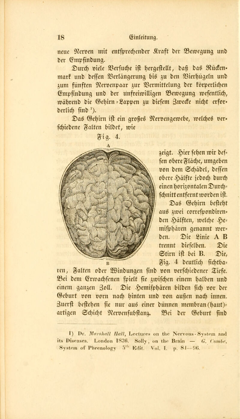 neue 9?erüen mit entfpredjenber Äraft bev SSenjcgung unb t)er (Jm^finbung. T)md) üiele S^erfuc^e ij! I)er9ej!eßt, baf ba^ SRücfen- marf unb beffen SBerlängerung Hö ju bcn S5ievi)üge(n unb jum fünften 9?cr»enpaar jur SSermittchmvj bcr förperlirf)en ßmpfinbung unb ber Unfrein^ittigen Betregung tt)cfcntlidf), n)Qt)renb bie ®et)trn = Sappen §u bicfem äwerfe ntrf)t erfor« berlid^ ftnb '). ©aö @et)irn ift ein gro^eö S^crüengewcbc, n?elrf)e^ »er« f(f)iebenc galten bilbet, wie A _ jeigt. .^ier fef)cn wir bef' fen obere ^läd^e, umgeben üon bem (Srf)äbcl, beffen obere .^älfte febod^ burd^ einen ^orijontalen ©urd^^ f(f)nitt entfernt worbenift. :Daö ©e^irn bej!ei)t au^ jwei correfponbiren» ben v^älften, wc(cl)e ^c- m\\p\)äxm genannt trer» ben. Sic Sinie A B trennt biefclben. T)u (Stirn if! bei B. Sic, gig. 4 beutlirf) firf)tba= ren, Ratten ober Söinbungen finb üon ocrfd)icbener Siefe. S3ci bem ©rwad^fenen fpiclt fie jwifd^en einem t)alben unb einem ganjen ^oU. Sie ^cmifpl)ären bilben fid) öor ber ®eburt üon üorn nad) t)inten unb öon au^en nad) innen, äucrjl bcjlelicn fic nur aix^ einer bünnen mcmbran(^aut)= artigen 0c^id)t 9f?eröenfubffanj. 93ei bcr ®eburt finb 1) Dr. Marshall Hall, Loctures on tho Neivous-System and its Diseases. London \S'M\ Solly, on the Brain — G. (ombe, System of Phrenology •',' VA\i. Vol. T. p. 8(-9<).