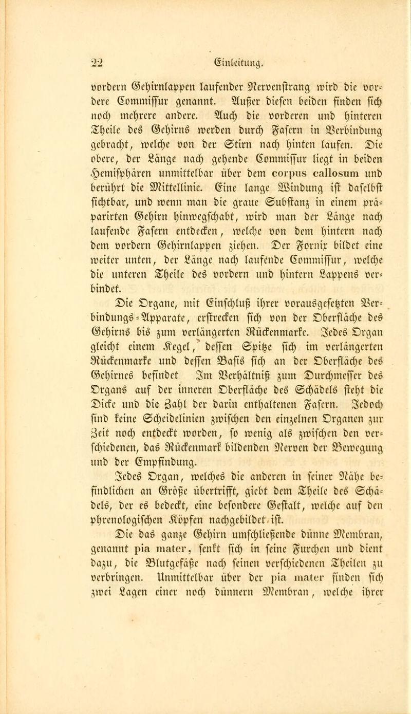 öorbern ®et)irnlap^cn laufcnbcr 9?erücnj!rang irtrb bic ücr= bere ßommiffur genannt. ?lufer bicfcn beibcn finbcn [\d) nod) mcf)rerc anbcrc. ?lud^ bic üorbercn unb t){ntcrcn Z^cxlc hc^ ®ct)trnö n^erben burcf) ^afcrn in SSerbtnbung gebracht, )x>dä)c üon bcr «Stirn narf) t)inten taufen. Sic obere, ber Sänge nad^ gct)enbe (Sommiffur (icgt in beibcn ^emif^()ärcn unmittelbar über bem corpus callosum unb bcrüt)rt bie SDZittettinic. ©ine lange Sßinbung ijlt bafclbjl fid;tbar, unb wenn man bie graue (©ubj^an^ in einem :prä= ^arirtcn ®et)irn l)inwegfd)abt, wirb man ber Sänge narf) taufenbe ^afern entbccfen, n?eld)c oon bem t)intern nad^ bem oorbern ®cl)irnlap|)cn jie^cn. Sier ^ornir bilbet eine weiter unten, bcr Sänge nad) taufenbe Gommiffur, ireld)e bic unteren St)cilc beö »orbern unb i)intcrn Sa:|}^^en^ üer= binbet. Die SDrgane, mit ßinfd^Iuf il)rer üorauögcfe|tcn S3cr= binbungö = ?l|3^arate, crjltrecfcn ftd) öon ber Dberf(äd)e beö (Set)irnö biö §um üerlängcrten SfJücfcnmarfc. Sebe^ Drgan gleid)t einem ^eget,' beffen 0pi^e ftd) im »ertängertcn 9iücfcnmarfc unb beffen S5afi^ fid) an ber Dberfläd^e beö ®cf)irneö befinbet Sm 93er^ättni§ jum S5urd)meffer beö SDrganö auf ber inneren Dberfläc^c bcö @d)äbcB flet)t bie 2>icfc unb bic Qa1^i bcr barin cntt)attencn ^afcrn. Scbcd) finb feine (Sd)cibelinien 5wifd)en ben cinjetnen Drganen ^ur geit nod; cntbcdft njorben, fo wenig aU 5wifd)cn ben oer= fd)iebencn, ha^ SRücfenmarf bilbenbcn 9?eröen bcr S^cwegung unb bcr ^mpfinbung. ^cbe^ Drgan, n)cld)eö bie anberen in feiner 9iäi)e bc-- finblidien an ©röfc übertrifft, giebt bem ^^eilc beö <Sd)ä= betö, bcr eö bebcdft, eine befonberc ©eftalt, wdd)t auf ben :pl^renotogifd)en itöpfen nadjgebilbetift, T)\c ta^ ganje @cl)irn umfd)tiefenbc bünne 5D?cmbran, genannt pia niater, fenft fid) in feine «^urd)en unb bient iid^ii, bie ©lutgcfä^c nad) feinen t)erfd)iebencn 3;i)ci(cn ju verbringen. Unmittelbar über ber ]>ia mater finbcn fid) jwci Sagen einer nod; bünnern ÜO?cmbran, weld)e ii)rer