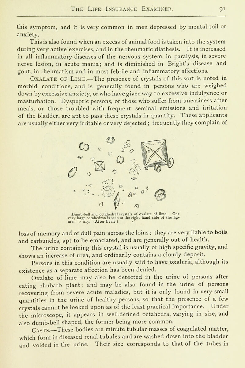 this symptom, and it is very common in men depressed by mental toil or anxiety. This is also found when an excess of animal food is taken into the system during very active exercises, and in the rheumatic diathesis. It is increased in all inflammatory diseases of the nervous system, in paralysis, in severe nerve lesion, in acute mania; and is diminished in Briglu's disease and gout, in rheumatism and in most febrile and inflammatory affections. OXALATE OF Lime.—The presence of crystals of this sort is noted in morbid conditions, and is generally found in persons who are weighed down by excessive anxiety, or who have given way to excessive indulgence or masturbation. Dyspeptic persons, or those who suffer from uneasiness after meals, or those troubled with frequent seminal emissions and irritation of the bladder, are apt to pass these crystals in quantity. These applicants are usually either very irritable or very dejected ; frequently they complain of Dumb-bell and octahedral crystals of oxalate of lime. One very large octahedron is seen at the right hand side of the fig- ure. * 215. tAfter Beale.) r loss of memory and of dull pain across the loins ; they are very liable to boils and carbuncles, apt to be emaciated, and are generally out of health. The urine containing this crystal is usually of high specific gravity, and shows an increase of urea, and ordinarily contains a cloudy deposit. Persons in this condition are usually said to have oxaluria, although its existence as a separate affection has been denied. Oxalate of lime may also be detected in the urine of persons after eating rhubarb plant; and may be also found in the urine of persons recovering from severe acute maladies, but it is only found in very small quantities in the urine of healthy persons, so that the presence of a few crystals cannot be looked upon as of the least practical importance. Under the microscope, it appears in well-defined octahedra, varying in size, and also dumb-bell shaped, the former being more common. Casts. These bodies are minute tubular masses of coagulated matter, which form in diseased renal tubules and are washed down into the bladder and voided in the urine. Their size corresponds to that of the tubes in