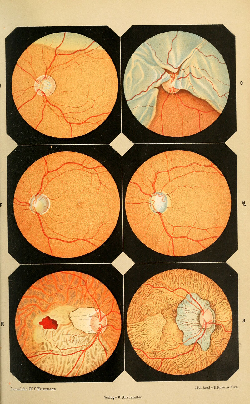 GemulitK-T.DT C.Eeitzmaxiii. litti-Anst.T.F.Köke inVien. Verlag v/W Braumiller.
