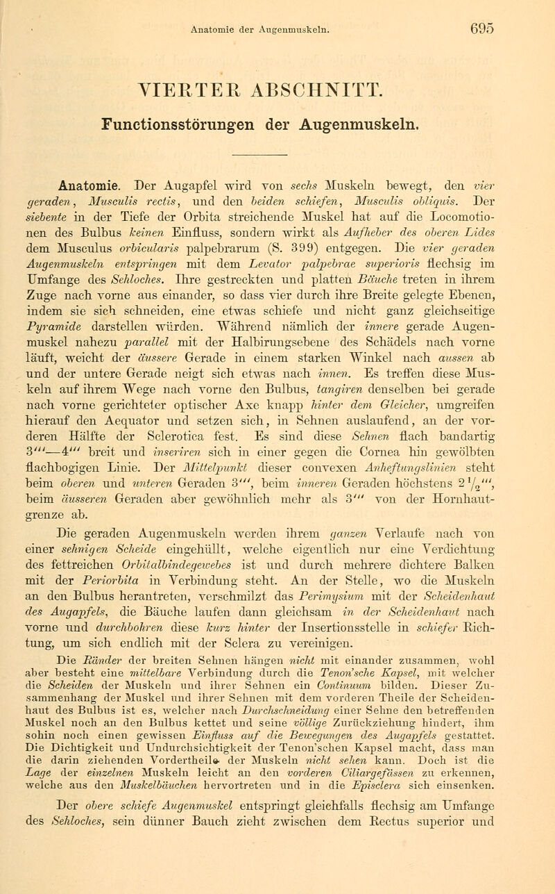 Anatomie der Augenmuskeln. OJO VIERTER ABSCHNITT. Functionsstörungen der Augenmuskeln. Anatomie. Der Augapfel wird von sechs Muskeln bewegt, den vier geraden, Museulis rectis, und den beiden schiefen, Musculis obliquis. Der siebente in der Tiefe der Orbita streichende Muskel hat auf die Locomotio- nen des Bulbus keinen Einfiuss, sondern wirkt als Aufheber des oberen Lides dem Musculus orbicidaris palpebrarum (S. 399) entgegen. Die vier geraden Augenmuskeln entspringen mit dem Levator palpebrae superioris flechsig im Umfange des Sehloches. Ihre gestreckten und platten Bäuche treten in ihrem Zuge nach vorne aus einander, so dass vier durch ihre Breite gelegte Ebenen, indem sie sich schneiden, eine etwas schiefe und nicht ganz gleichseitige Pyramide darstellen würden. Während nämlich der innere gerade Augen- muskel nahezu parallel mit der Halbirungsebene des Schädels nach vorne läuft, weicht der äussere Gerade in einem starken Winkel nach aussen ab und der untere Gerade neigt sich etwas nach innen. Es treffen diese Mus- keln auf ihrem Wege nach vorne den Bulbus, tangiren denselben bei gerade nach vorne gerichteter optischer Axe knapp hinter dem Gleicher, umgreifen hierauf den Aequator und setzen sich, in Sehnen auslaufend, an der vor- deren Hälfte der Sclerotica fest. Es sind diese Sehnen flach bandartig 3'—4' breit und inseriren sich in einer gegen die Cornea hin gewölbten flachbogigen Linie. Der Mittelpunkt dieser convexen Anheftung slinien steht beim oberen und unteren Geraden 3', beim inneren Geraden höchstens 2^^', beim äusseren Geraden aber gewöhnlich mehr als 3' von der Hornhaut- grenze ab. Die geraden Augenmuskeln werden ihrem ganzen Verlaufe nach von einer sehnigen Scheide eingehüllt, welche eigentlich nur eine Verdichtung des fettreichen Orbitalbindegewebes ist und durch mehrere dichtere Balken mit der Periorbita in Verbindung steht. An der Stelle, wo die Muskeln an den Bulbus herantreten, verschmilzt das Perimysium mit der Scheidenhaut des Augapfels, die Bäuche laufen dann gleichsam in der Scheidenhaut nach vorne und durchbohren diese kurz hinter der Lnsertionsstelle in schiefer Rich- tung, um sich endlich mit der Sclera zu vereinigen. Die Ränder der breiten Sehnen hängen nicht mit einander zusammen, wohl aber besteht eine mittelbare Verbindung durch die Tenon'sche Kapsel, mit welcher die Scheiden der Muskeln und ihrer Sehnen ein C'ontinuum bilden. Dieser Zu- sammenhang der Muskel und ihrer Sehnen mit dem vorderen Theile der Scheiden- haut des Bulbus ist es, welcher nach Durclischneidung einer Sehne den betreffenden Muskel noch an den Bulbus kettet und seine völlige Zurückziehung hindert, ihm sohin noch einen gewissen Einfiuss auf die Bewegungen des Augapfels gestattet. Die Dichtigkeit und Undurchsichtigkeit der Tenon'schen Kapsel macht, dass man die darin ziehenden Vordertheil» der Muskeln nicht sehen kann. Doch ist die Lage der einzelnen Muskeln leicht an den vorderen Ciliargefässen zu erkennen, welche aus den Muskelbäuchen hervortreten und in die Episclera sich einsenken. Der obere schiefe Augenmuskel entspringt gleichfalls flechsig am Umfange des Sehloches, sein dünner Bauch zieht zwischen dem Bectus superior und